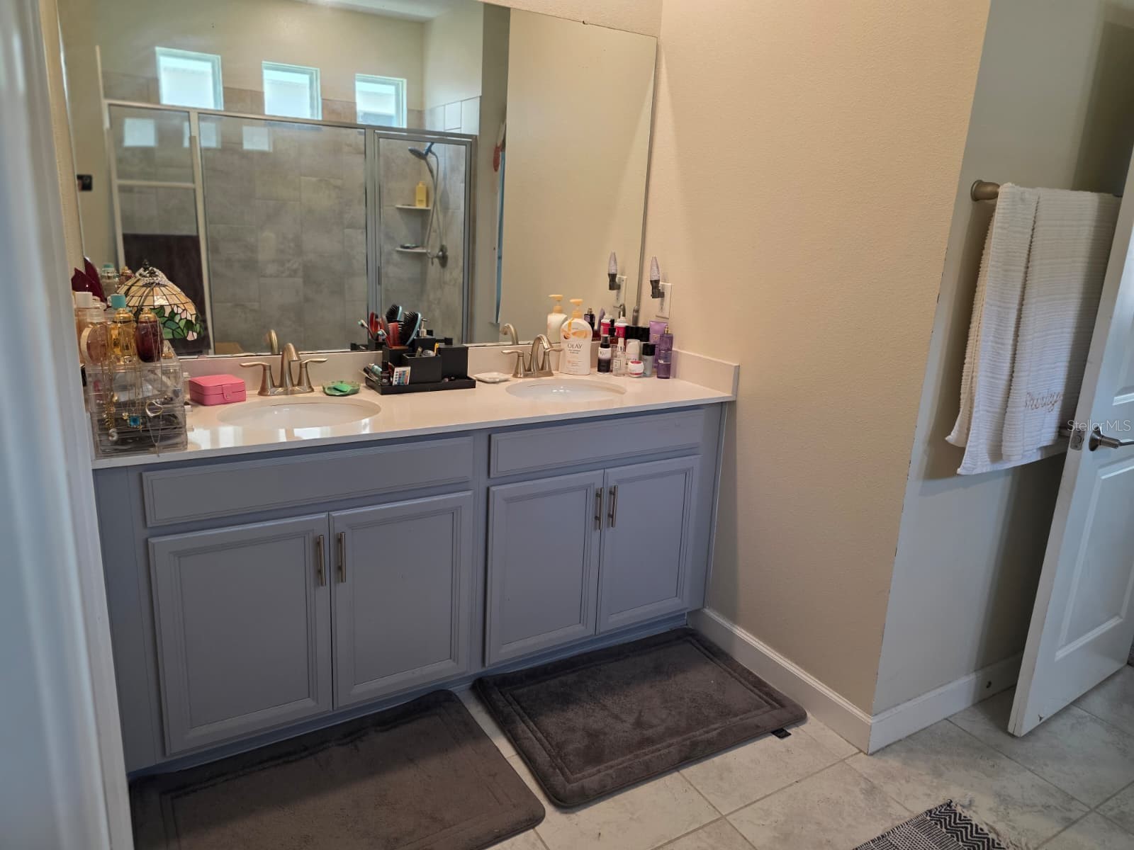 1211 Dora Parc Lane Mount Dora FL 32757 O6369236 image11
