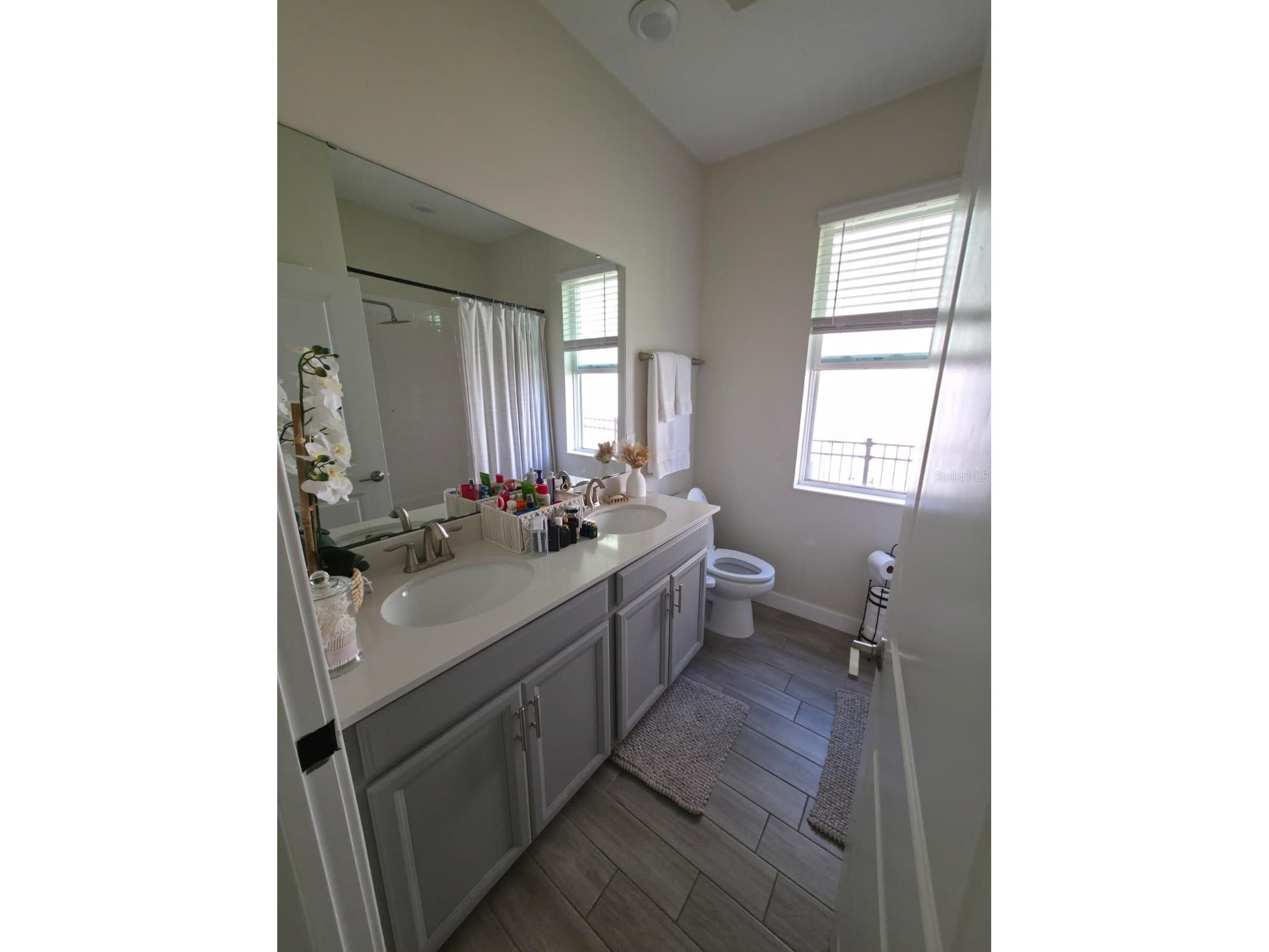 1211 Dora Parc Lane Mount Dora FL 32757 O6369236 image27