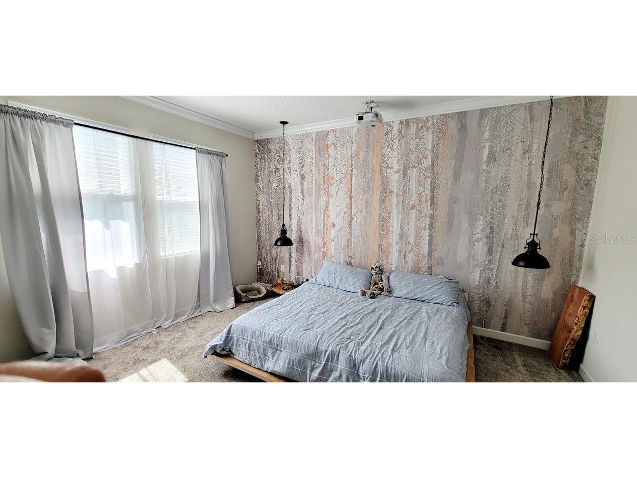 1211 Dora Parc Lane Mount Dora FL 32757 O6369236 image3