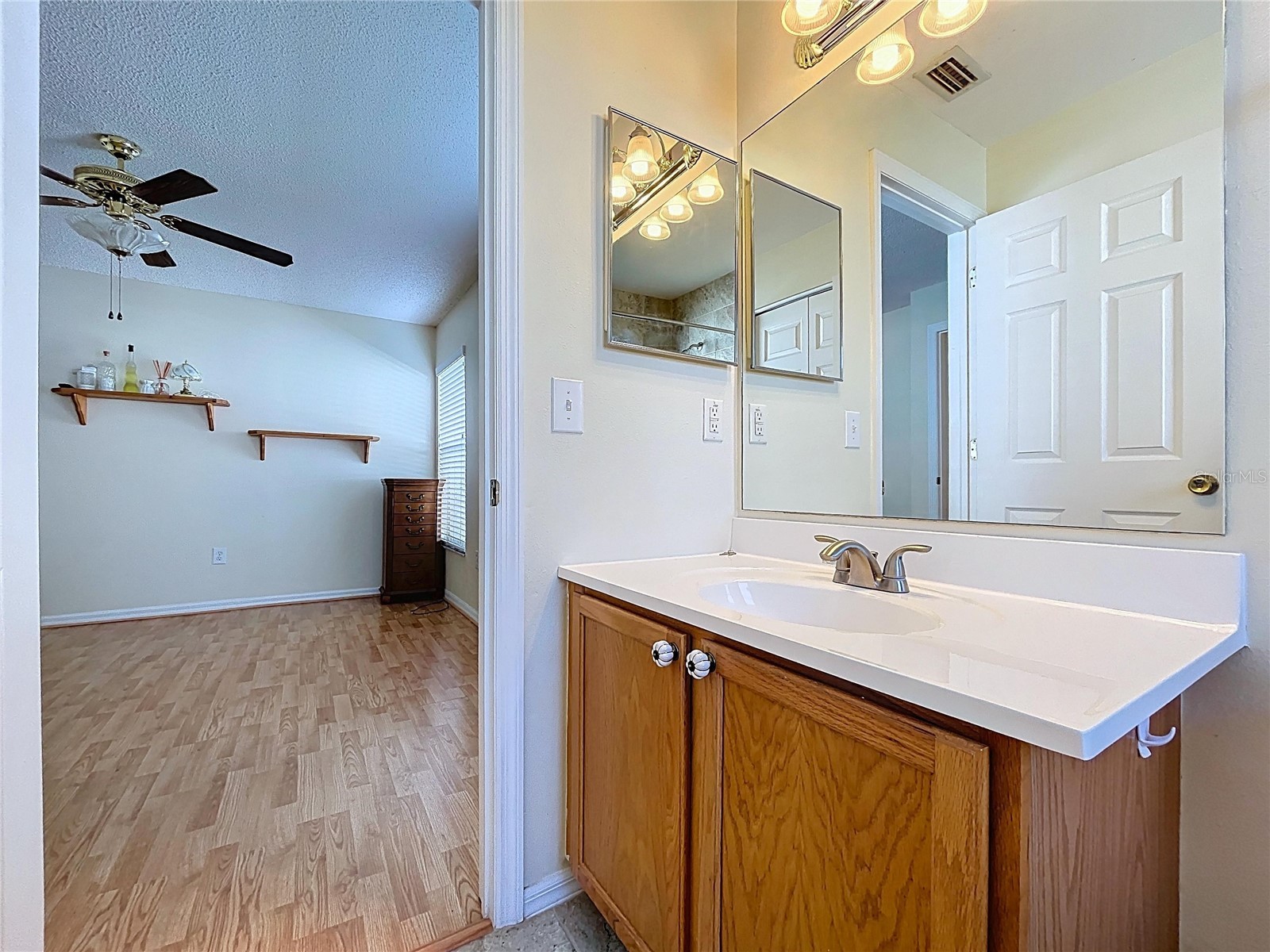 1211 Franford Drive Brandon FL 33511 TB8484627 image20