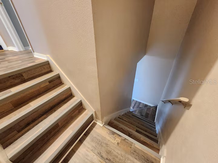 1211 Haddington Way Wesley Chapel FL 33543 TB8444277 image15