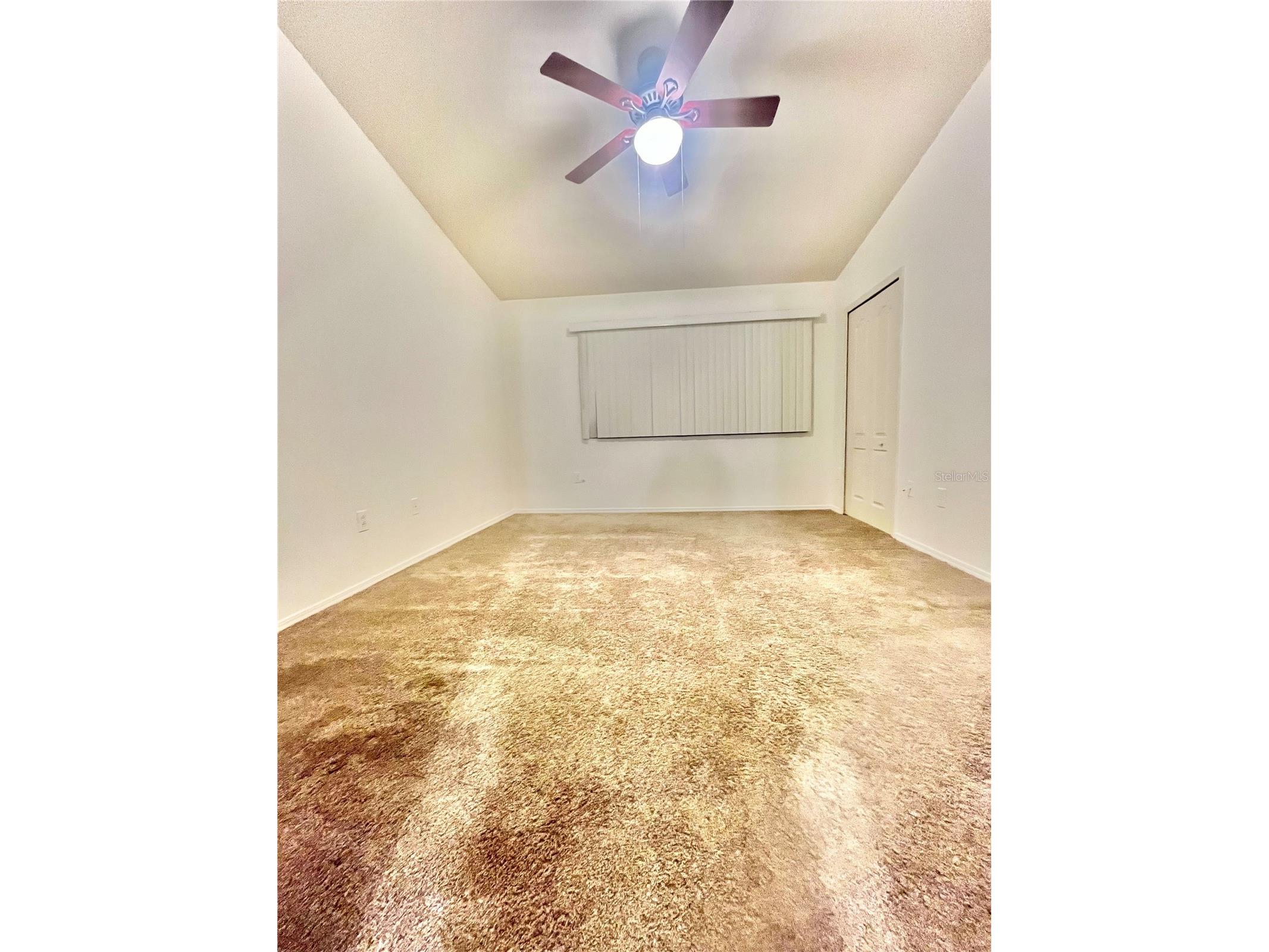 1211 Kennewick Court Wesley Chapel FL 33543 TB8470134 image14