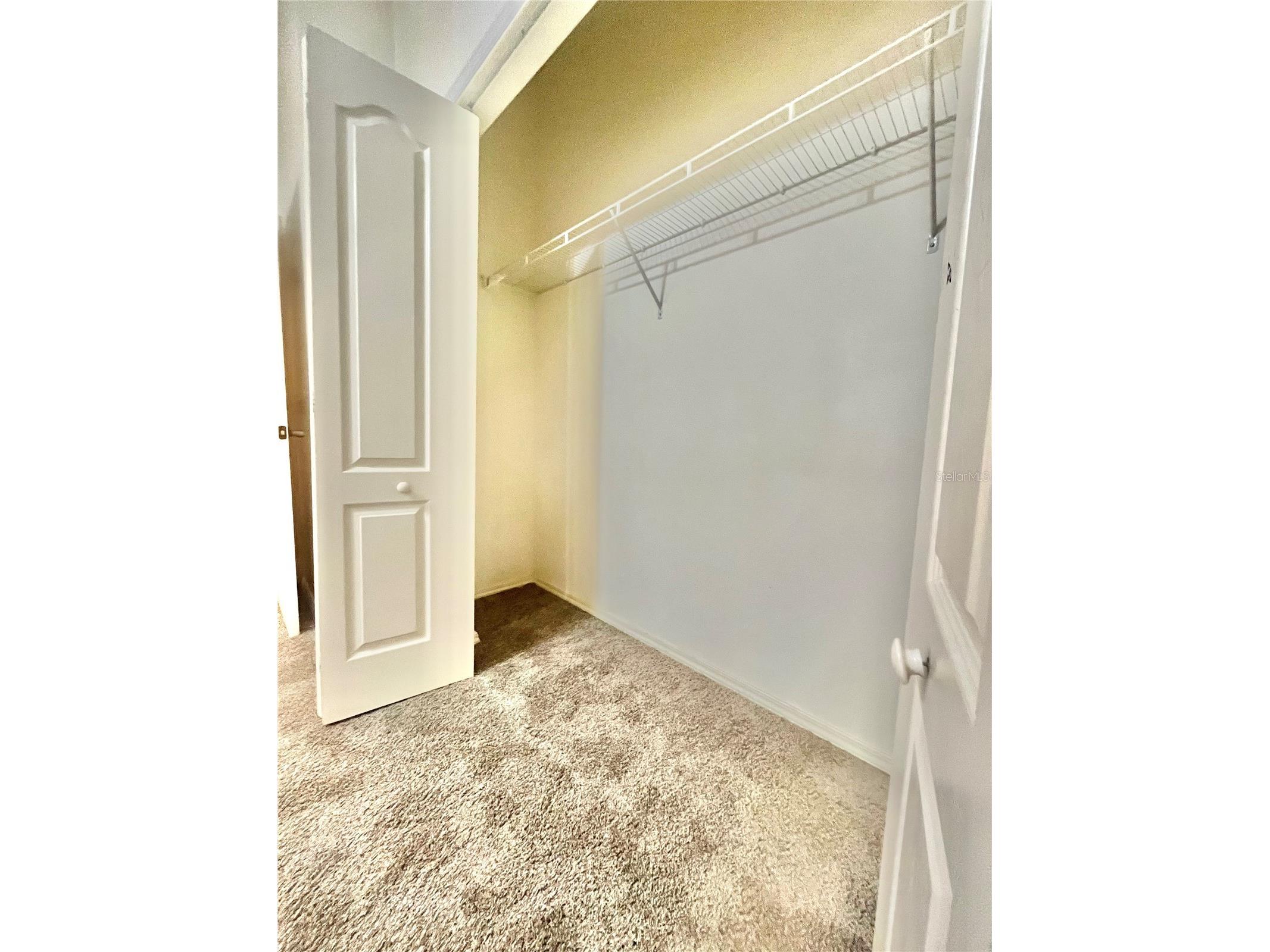 1211 Kennewick Court Wesley Chapel FL 33543 TB8470134 image20
