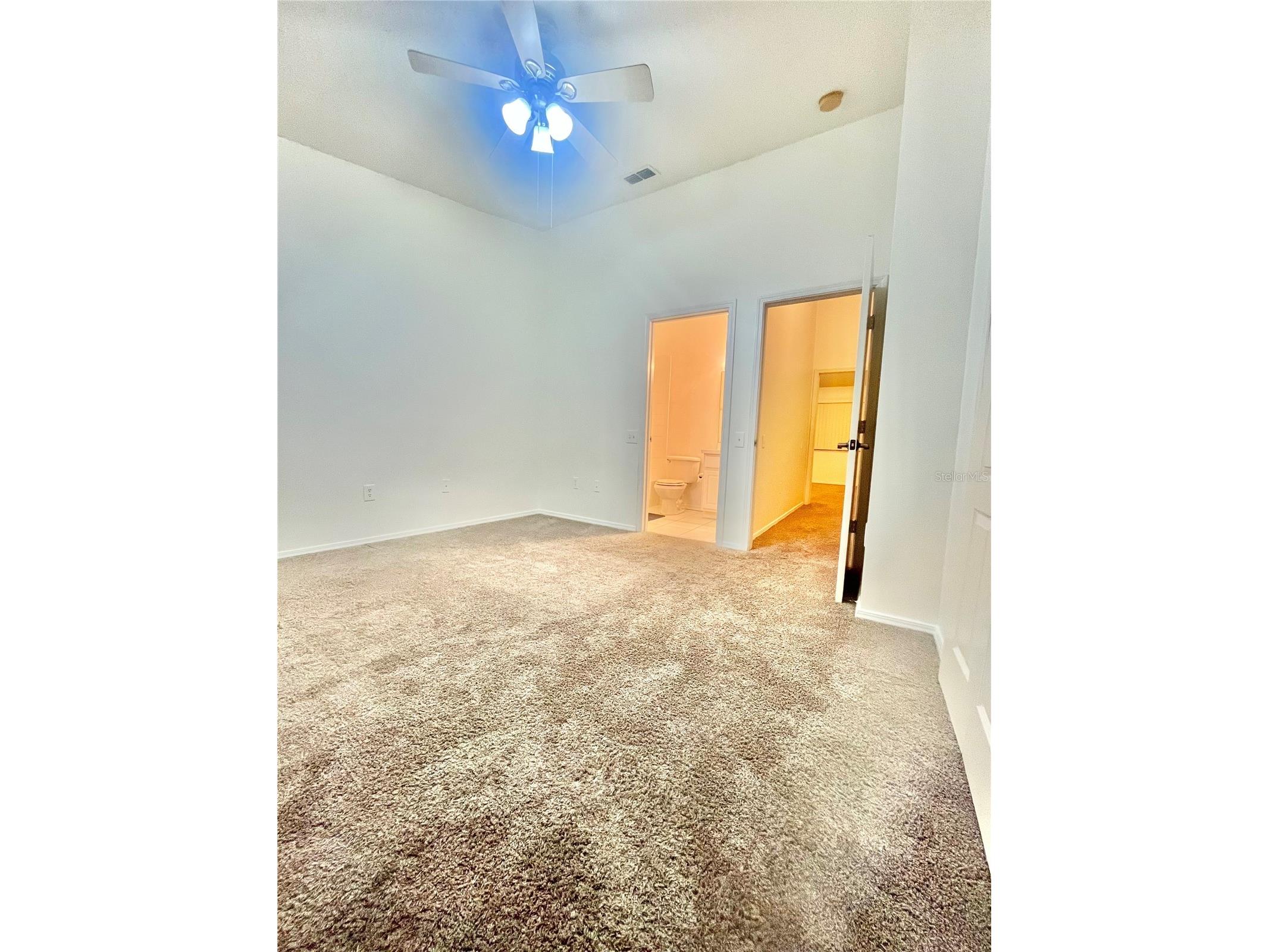 1211 Kennewick Court Wesley Chapel FL 33543 TB8470134 image22