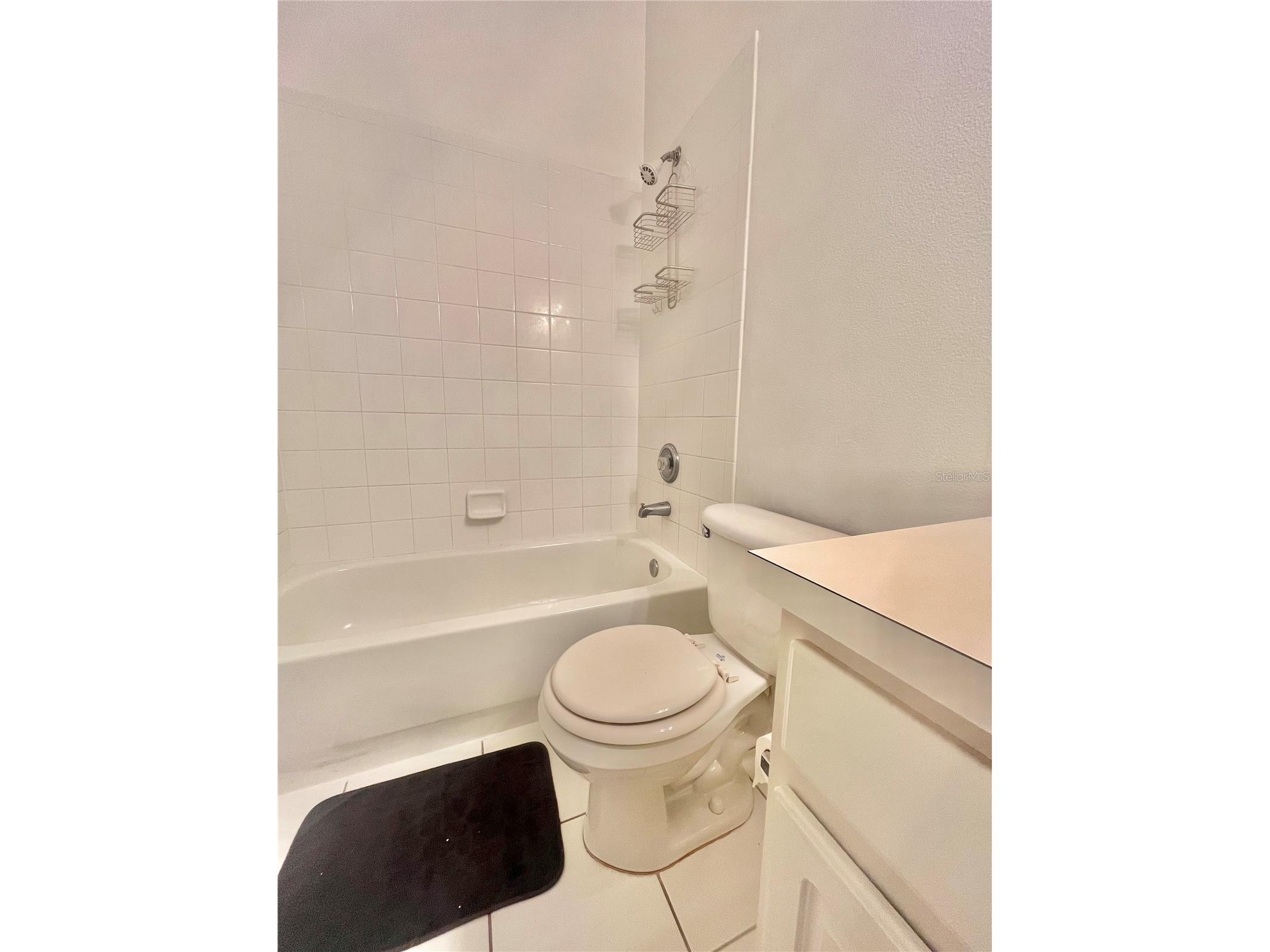 1211 Kennewick Court Wesley Chapel FL 33543 TB8470134 image24