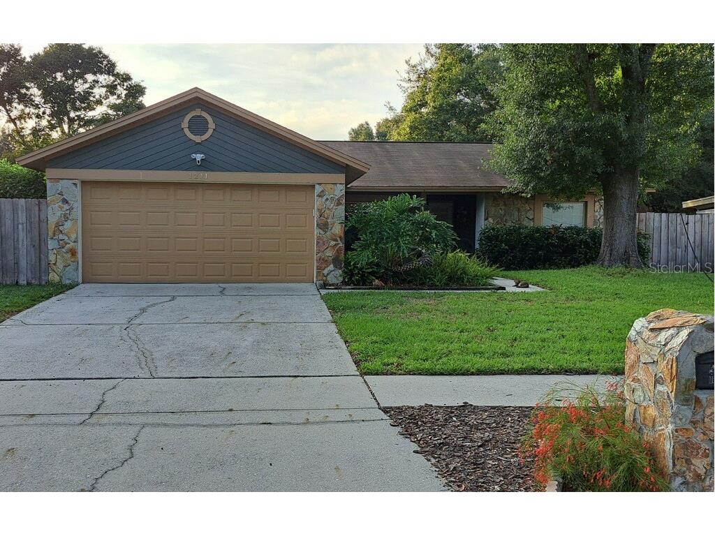 1211 Lornewood Drive Valrico FL 33596 T3479966 image1