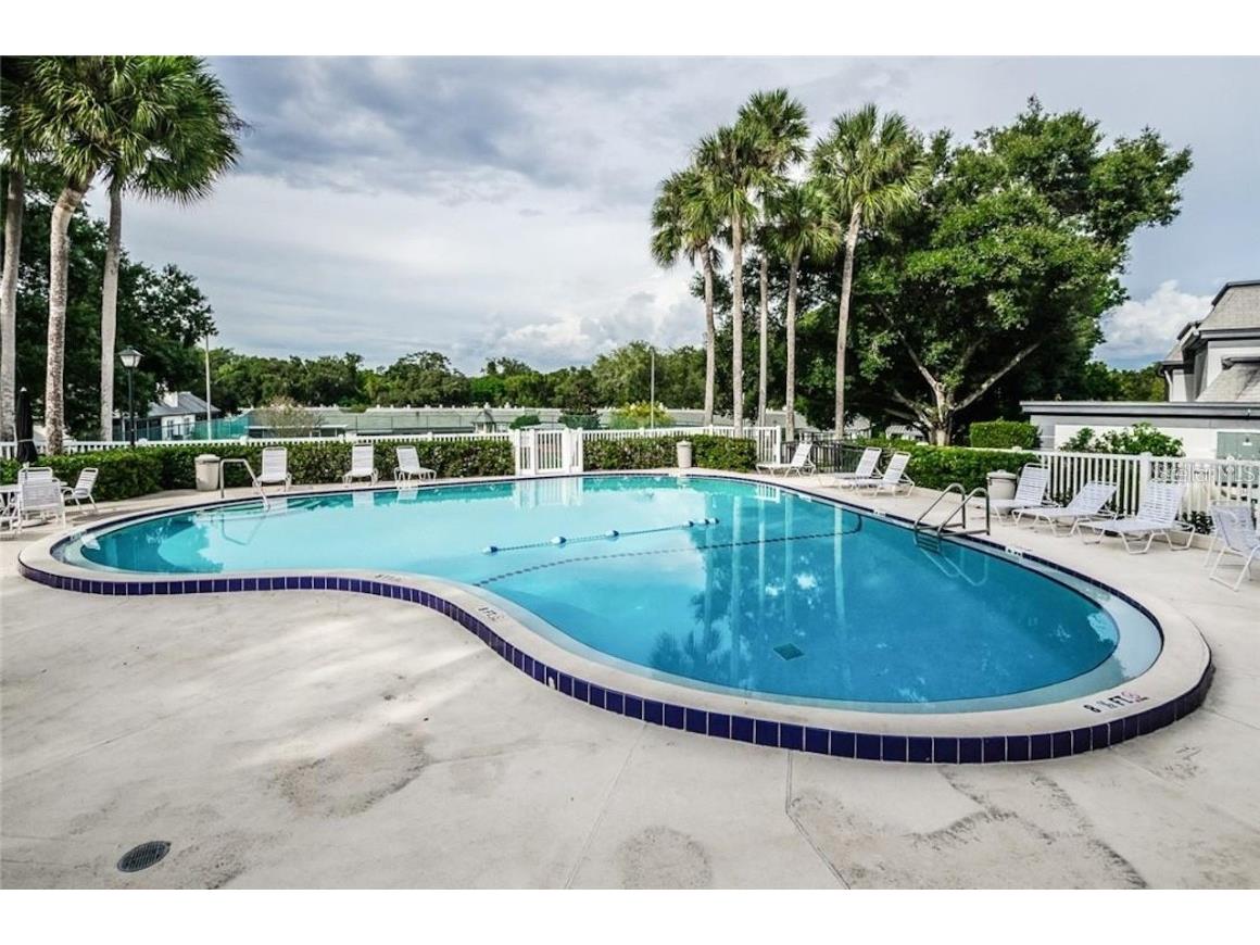 1211 N Mcmullen Booth Road #1211 Clearwater FL 33759 U8250535 image2