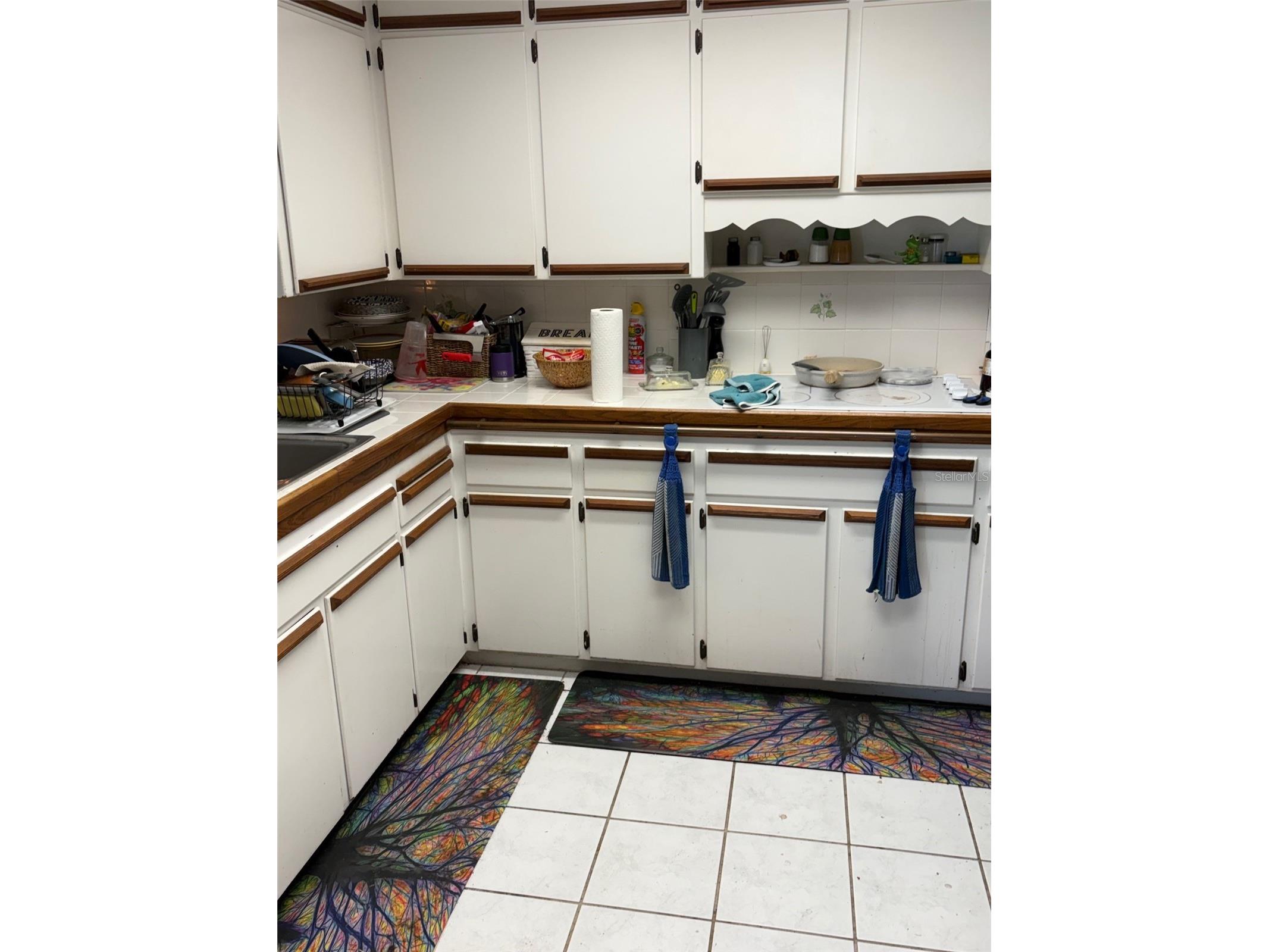 1211 N Peninsula Avenue New Smyrna Beach FL 32169 NS1088394 image25