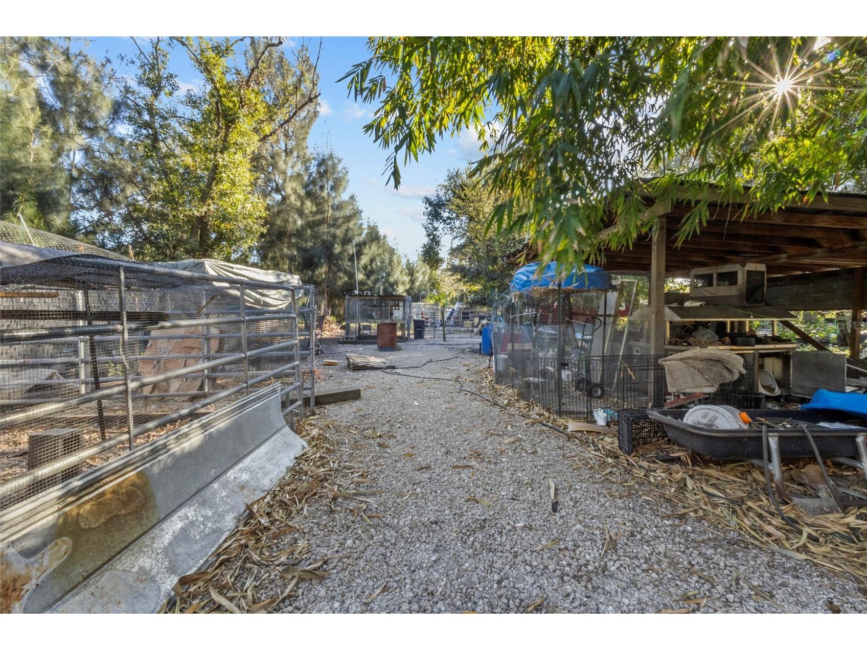 1211 NW Eucalyptus Avenue Arcadia FL 34266 A4677007 image13