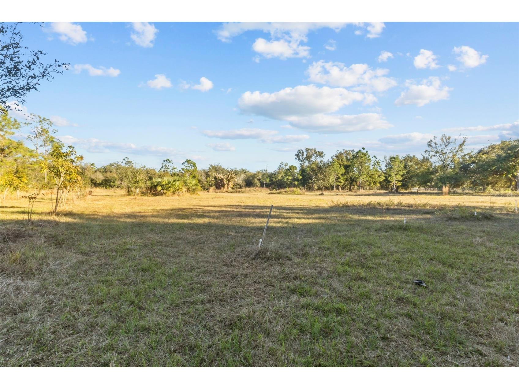 1211 NW Eucalyptus Avenue Arcadia FL 34266 A4677007 image15