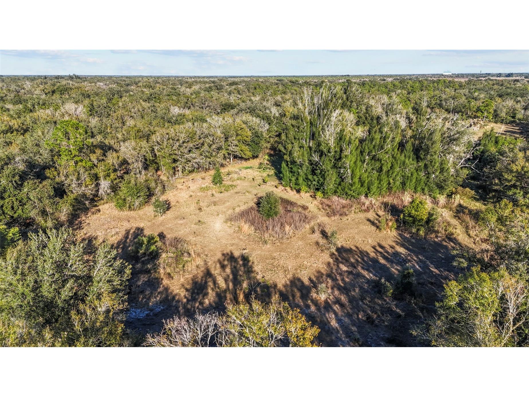 1211 NW Eucalyptus Avenue Arcadia FL 34266 A4677007 image21