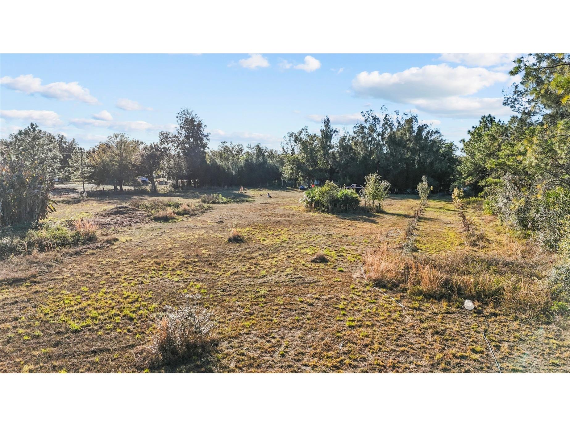 1211 NW Eucalyptus Avenue Arcadia FL 34266 A4677007 image23