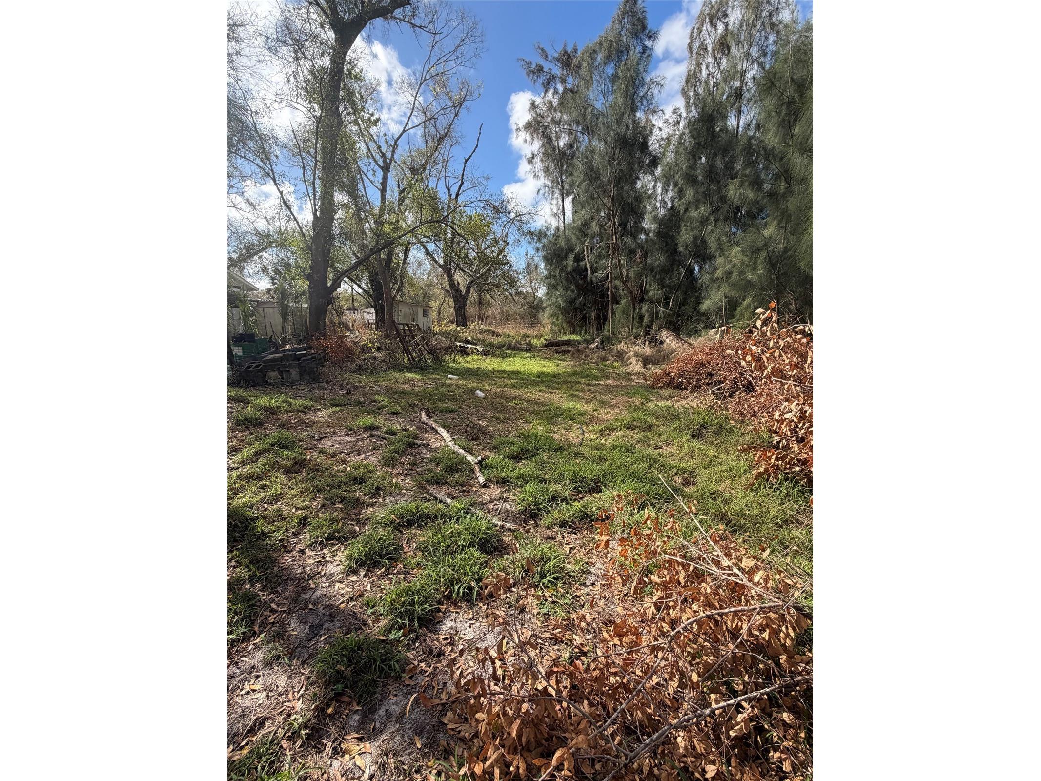 1211 NW Eucalyptus Avenue Arcadia FL 34266 A4685984 image11