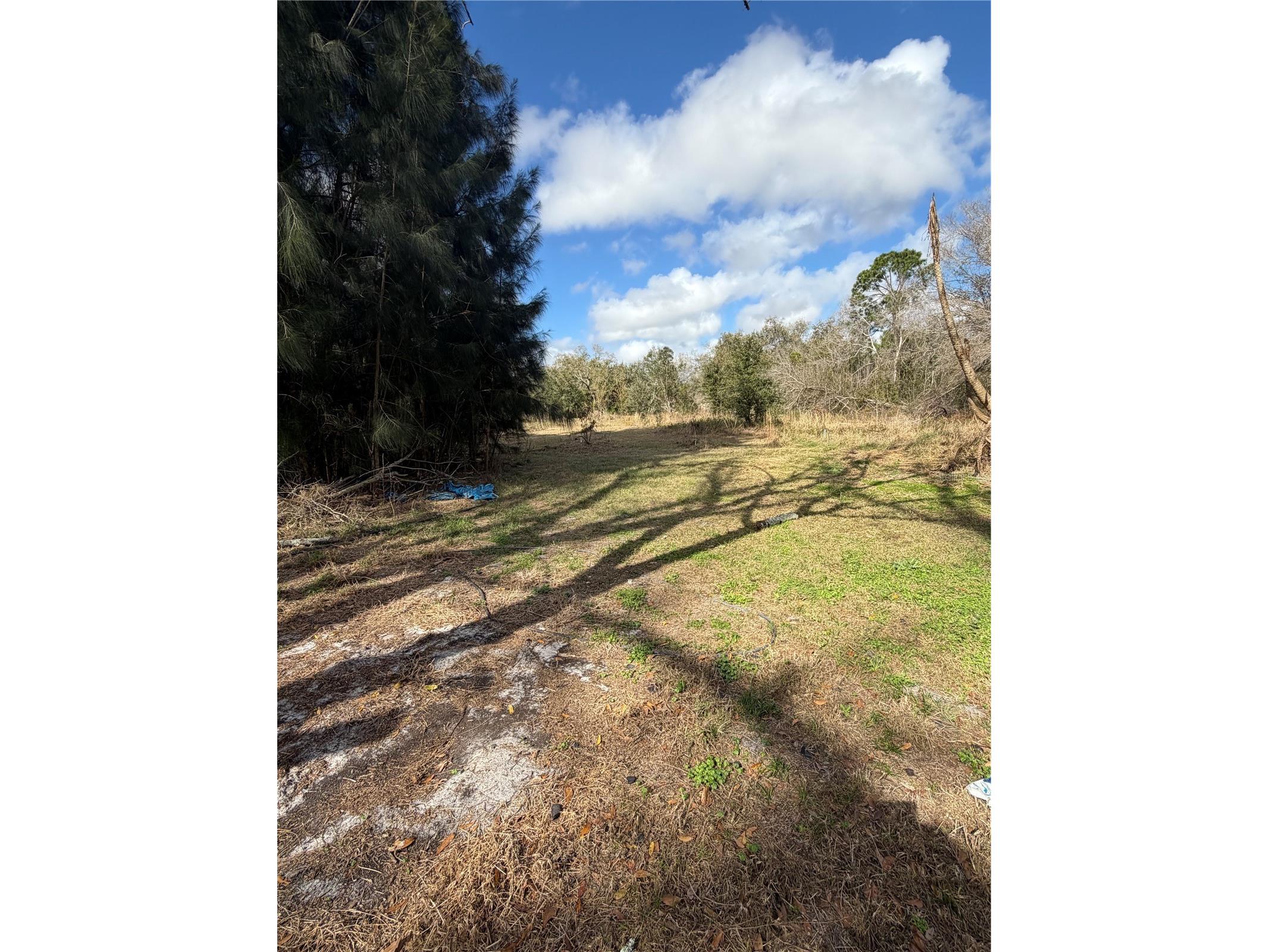 1211 NW Eucalyptus Avenue Arcadia FL 34266 A4685984 image12