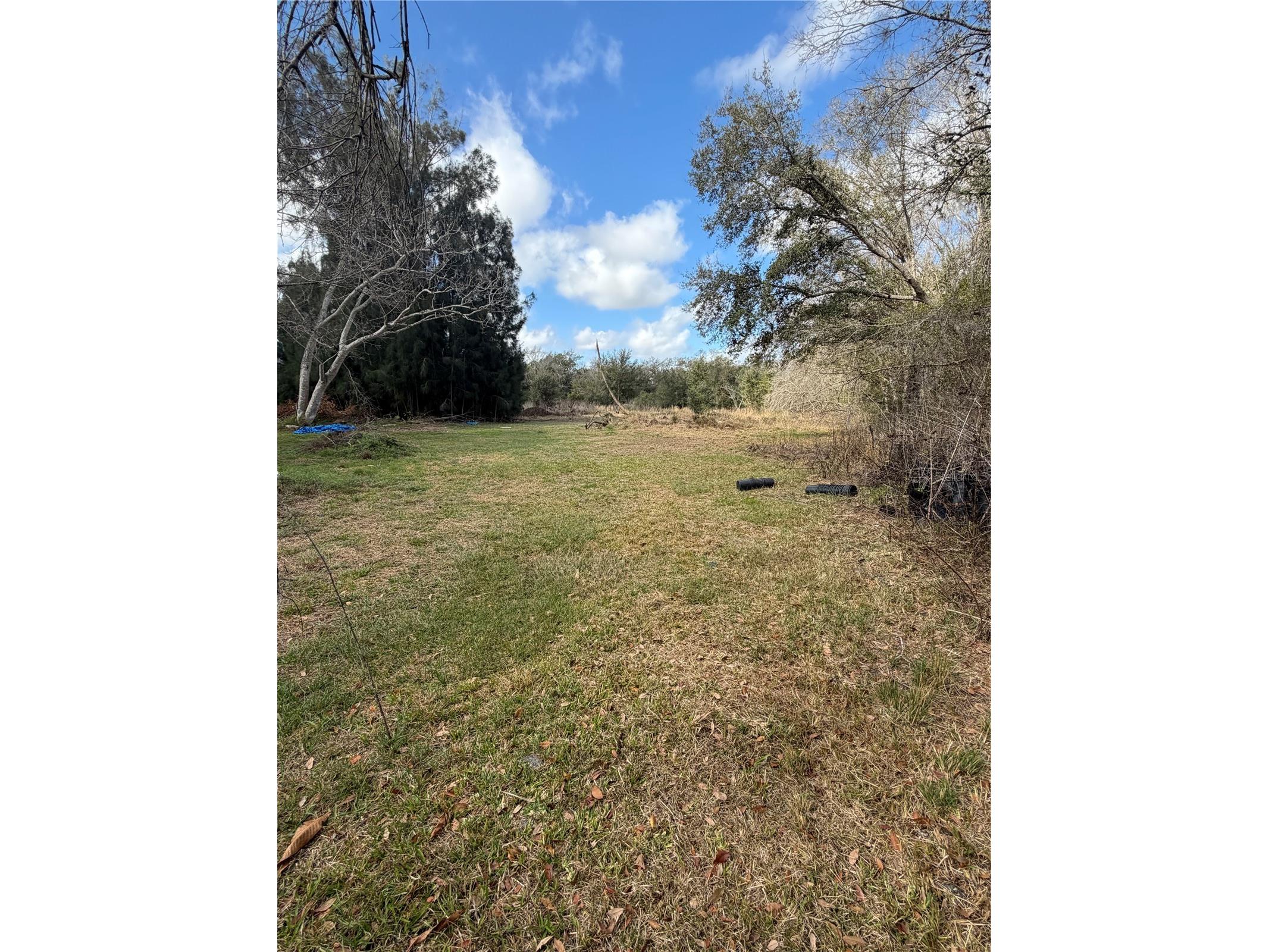 1211 NW Eucalyptus Avenue Arcadia FL 34266 A4685984 image14