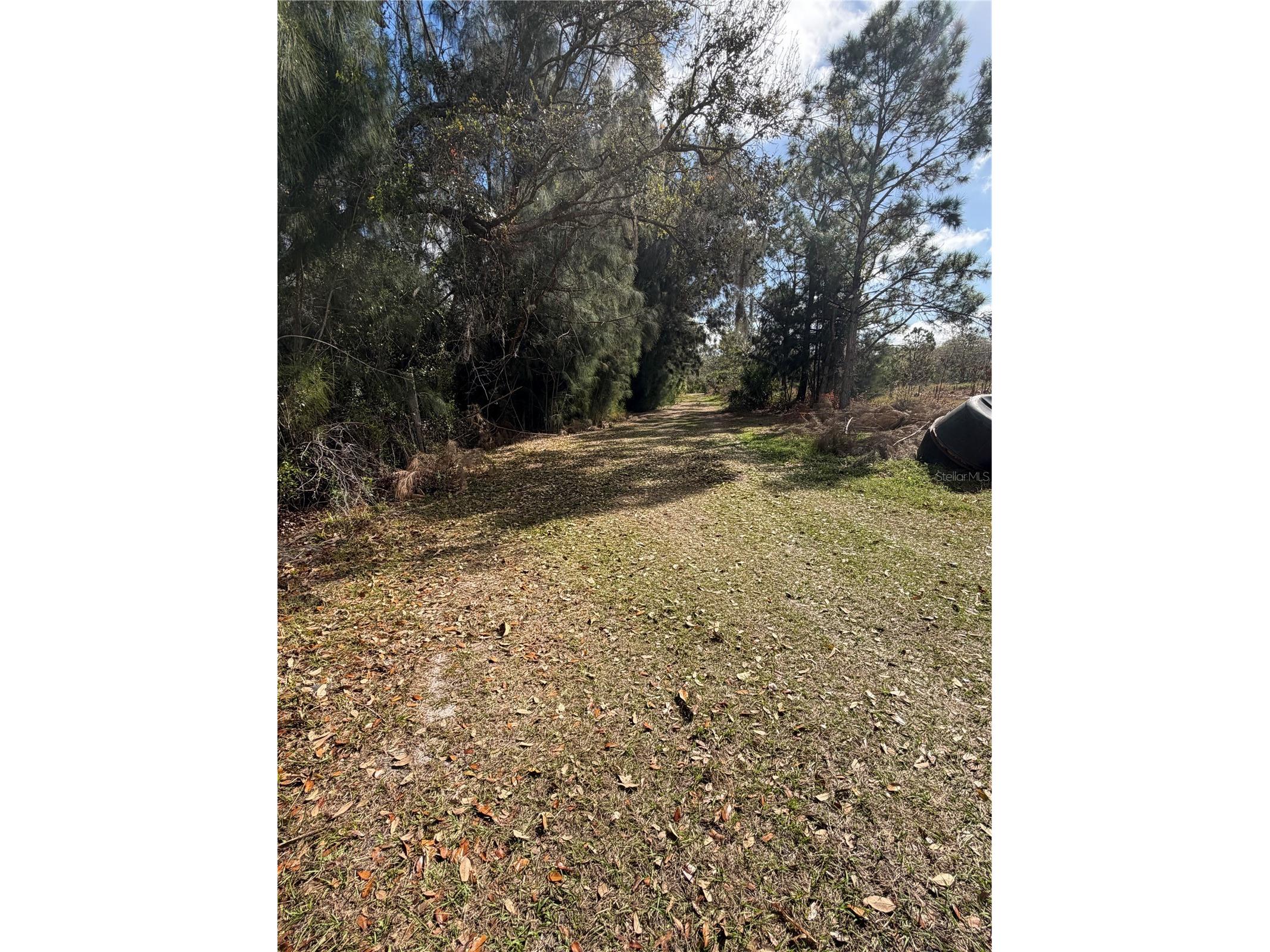 1211 NW Eucalyptus Avenue Arcadia FL 34266 A4685984 image15