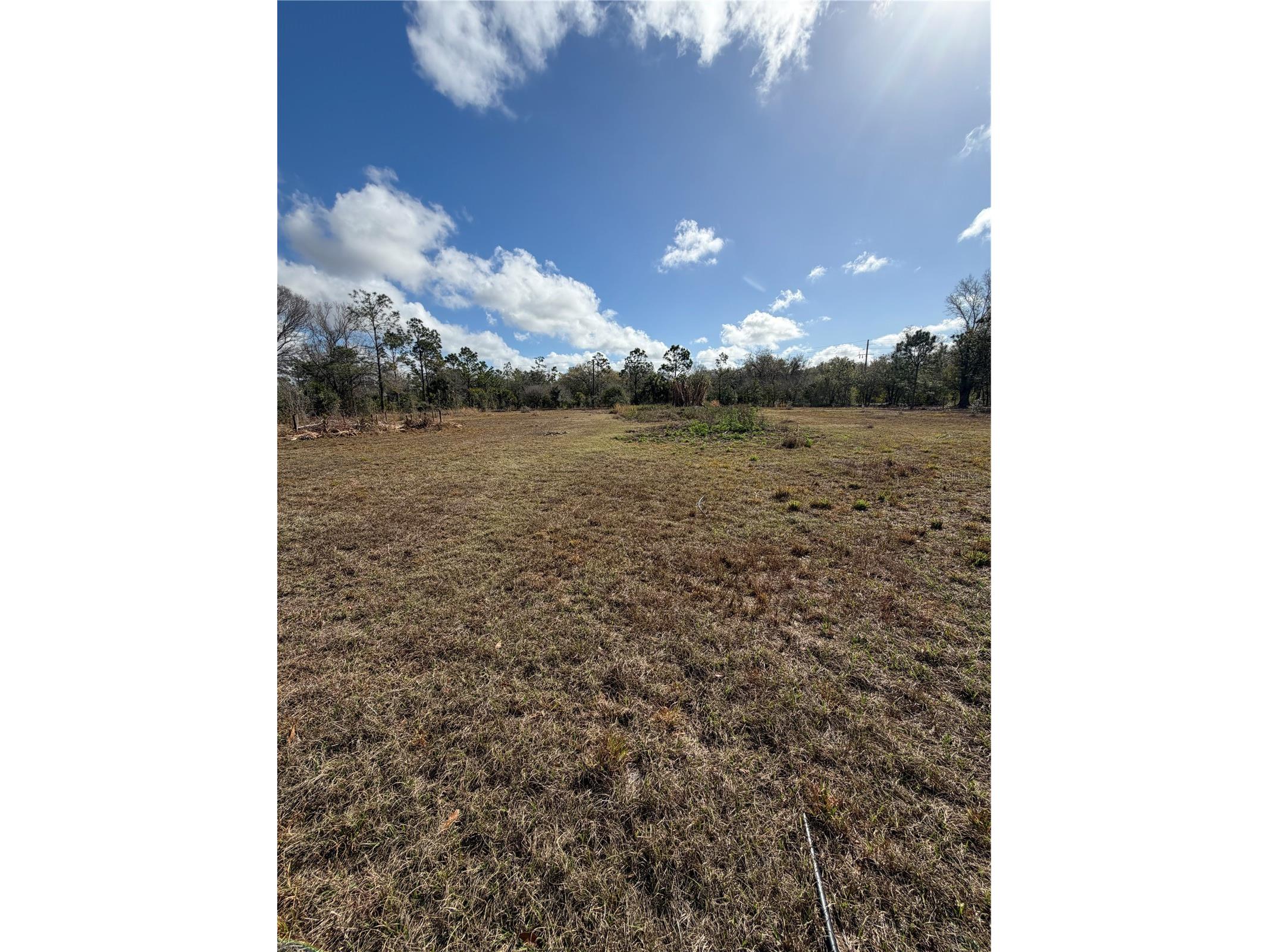 1211 NW Eucalyptus Avenue Arcadia FL 34266 A4685984 image16