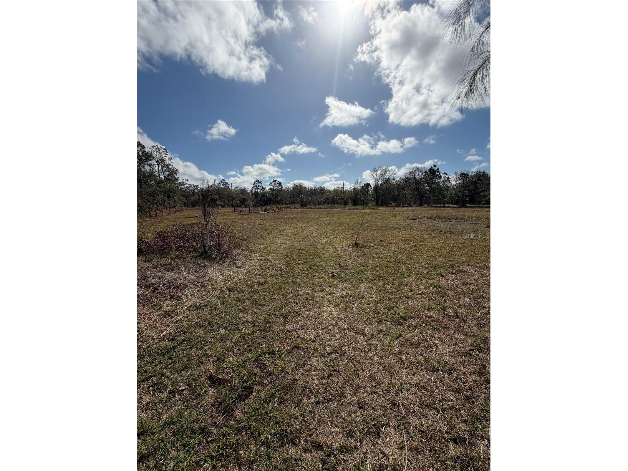 1211 NW Eucalyptus Avenue Arcadia FL 34266 A4685984 image17