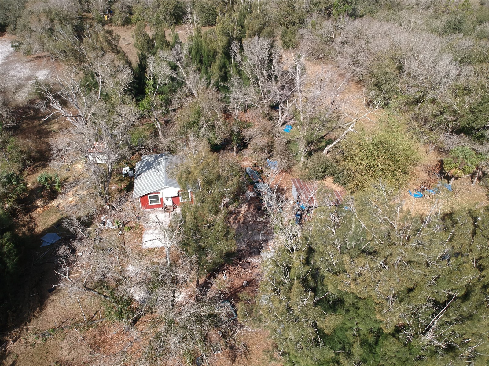 1211 NW Eucalyptus Avenue Arcadia FL 34266 A4685984 image20