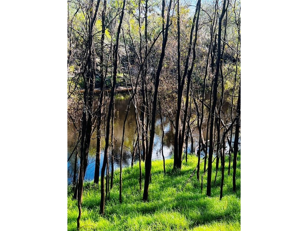 1211 NW Girl Scout Road Arcadia FL 34266 - PEACE RIVER C7471075 image1