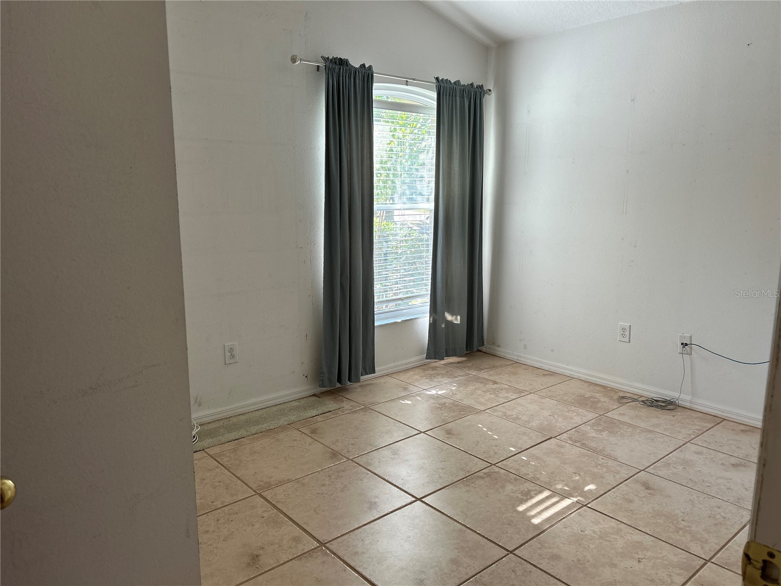 1211 Pat Patterson Court Apopka FL 32712 O6361214 image12