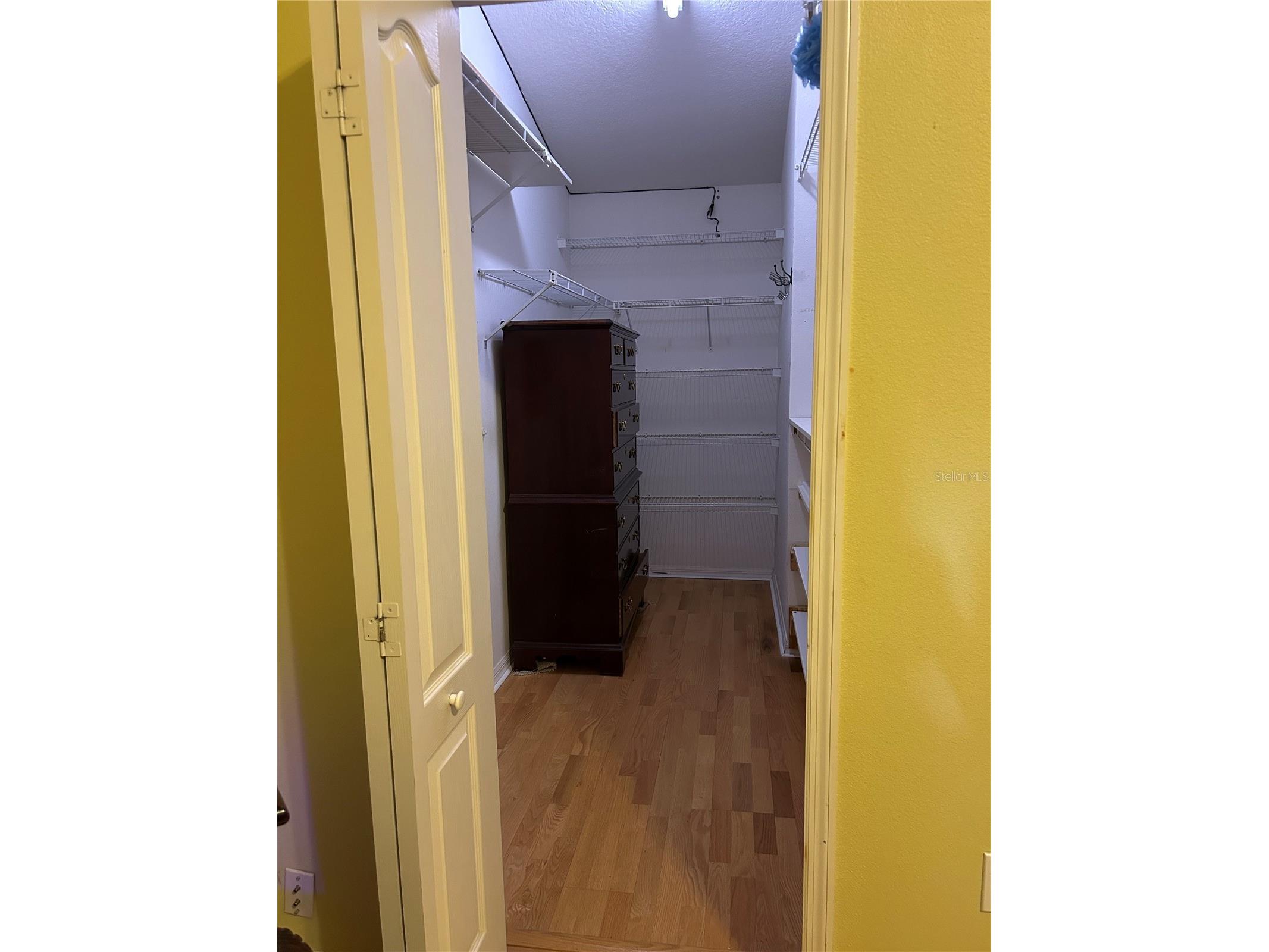 1211 Pat Patterson Court Apopka FL 32712 O6361214 image8