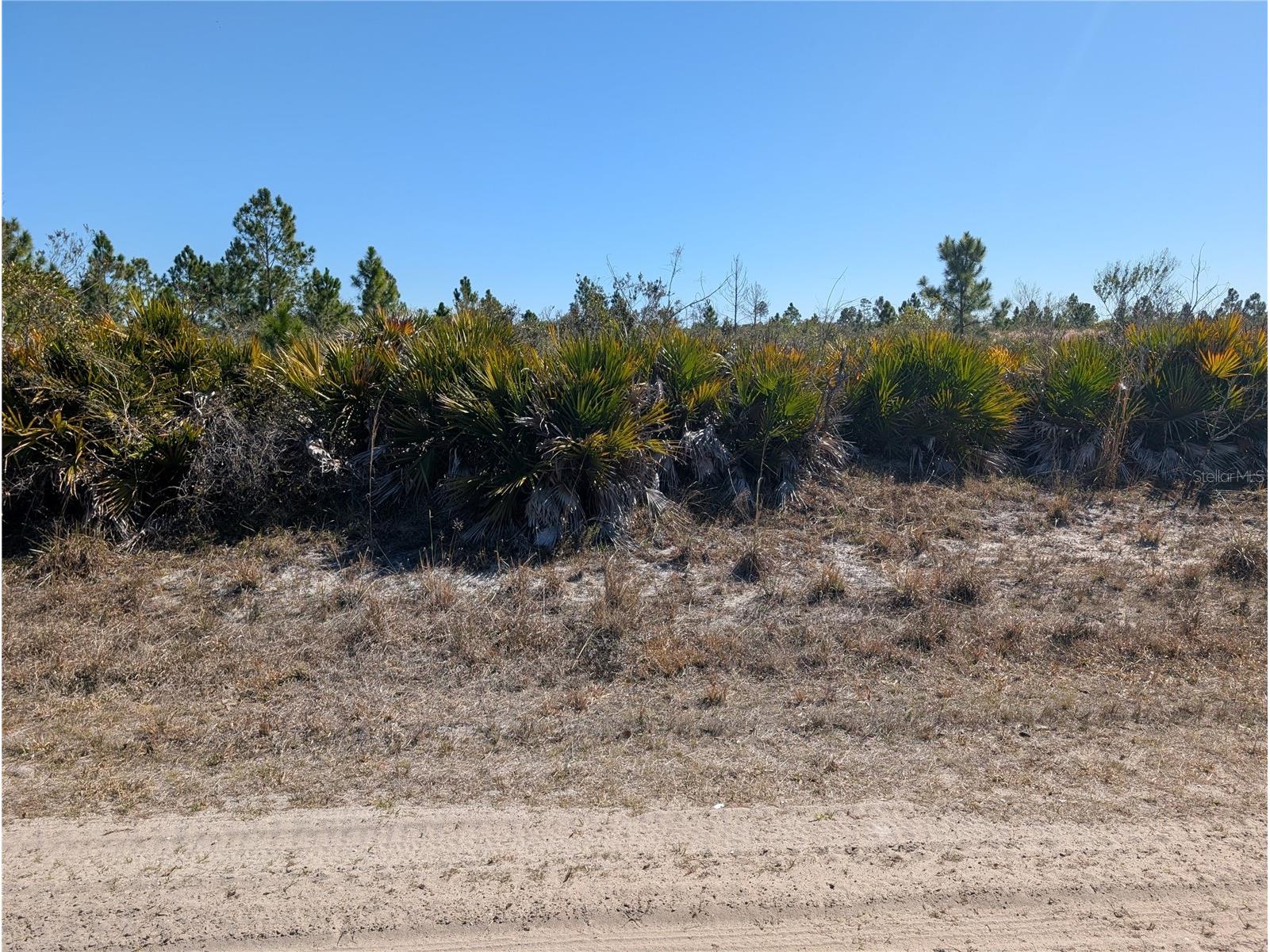 1211 Pinnata Drive Indian Lake Estates FL 33855 - LAKE WALK-IN-WATER P4937903 image1