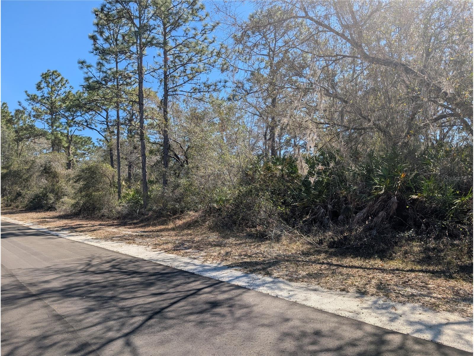 1211 Pinnata Drive Indian Lake Estates FL 33855 - LAKE WALK-IN-WATER P4937903 image3