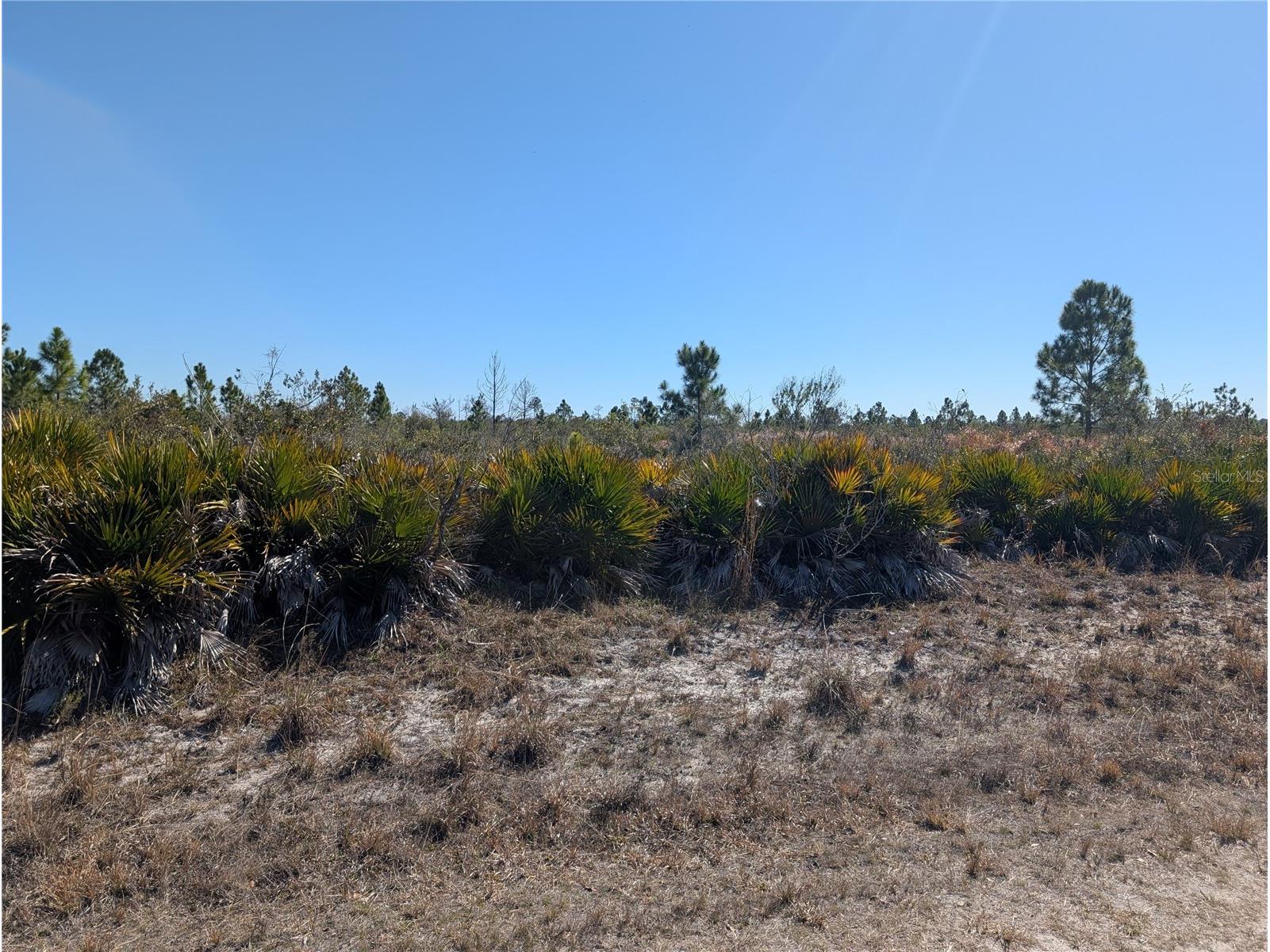 1211 Pinnata Drive Indian Lake Estates FL 33855 - LAKE WALK-IN-WATER P4937903 image4