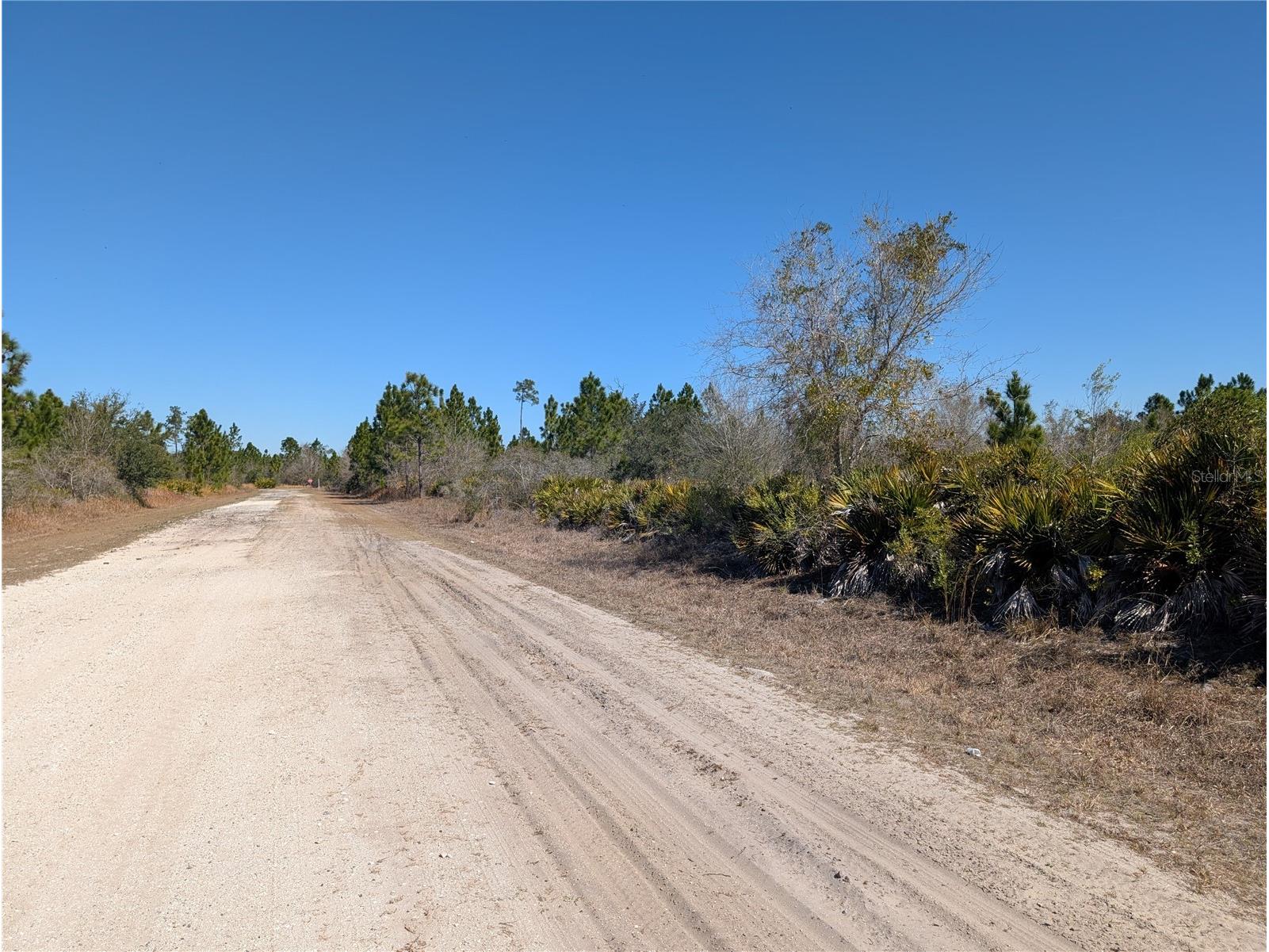 1211 Pinnata Drive Indian Lake Estates FL 33855 - LAKE WALK-IN-WATER P4937903 image5