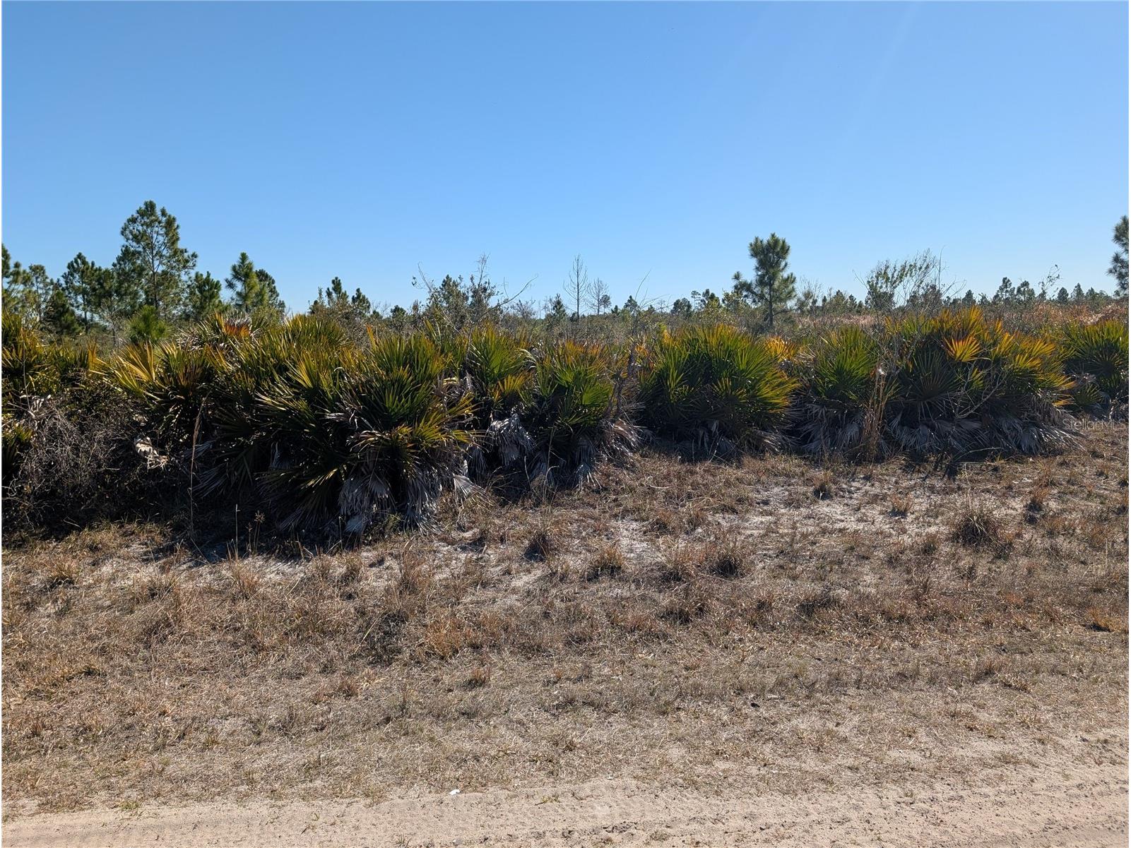 1211 Pinnata Drive Indian Lake Estates FL 33855 - LAKE WALK-IN-WATER P4937903 image8