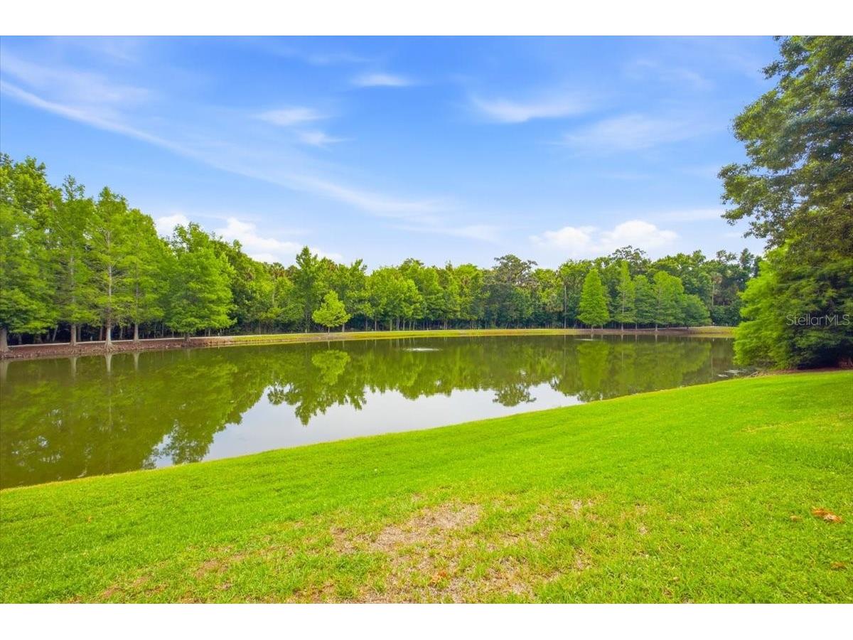 1211 Stonecutter Drive #105 Celebration FL 34747 O6410862 image26