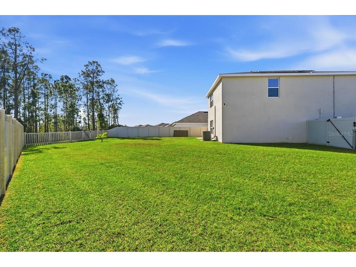 1211 Tahitian Sunrise Drive Plant City FL 33565 L4962118 image8