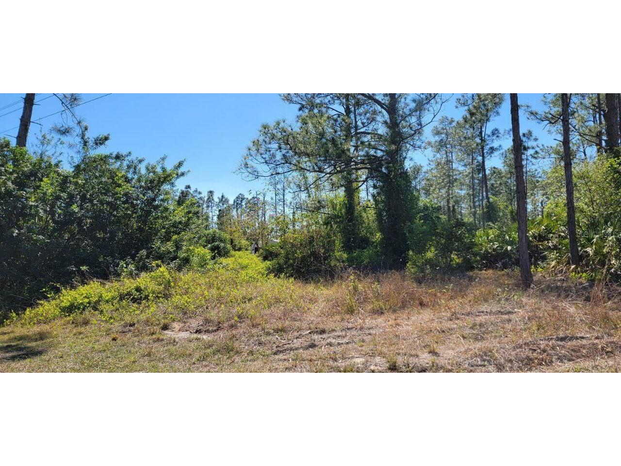 1211 Wellington Avenue Lehigh Acres FL 33972 S5123817 image1