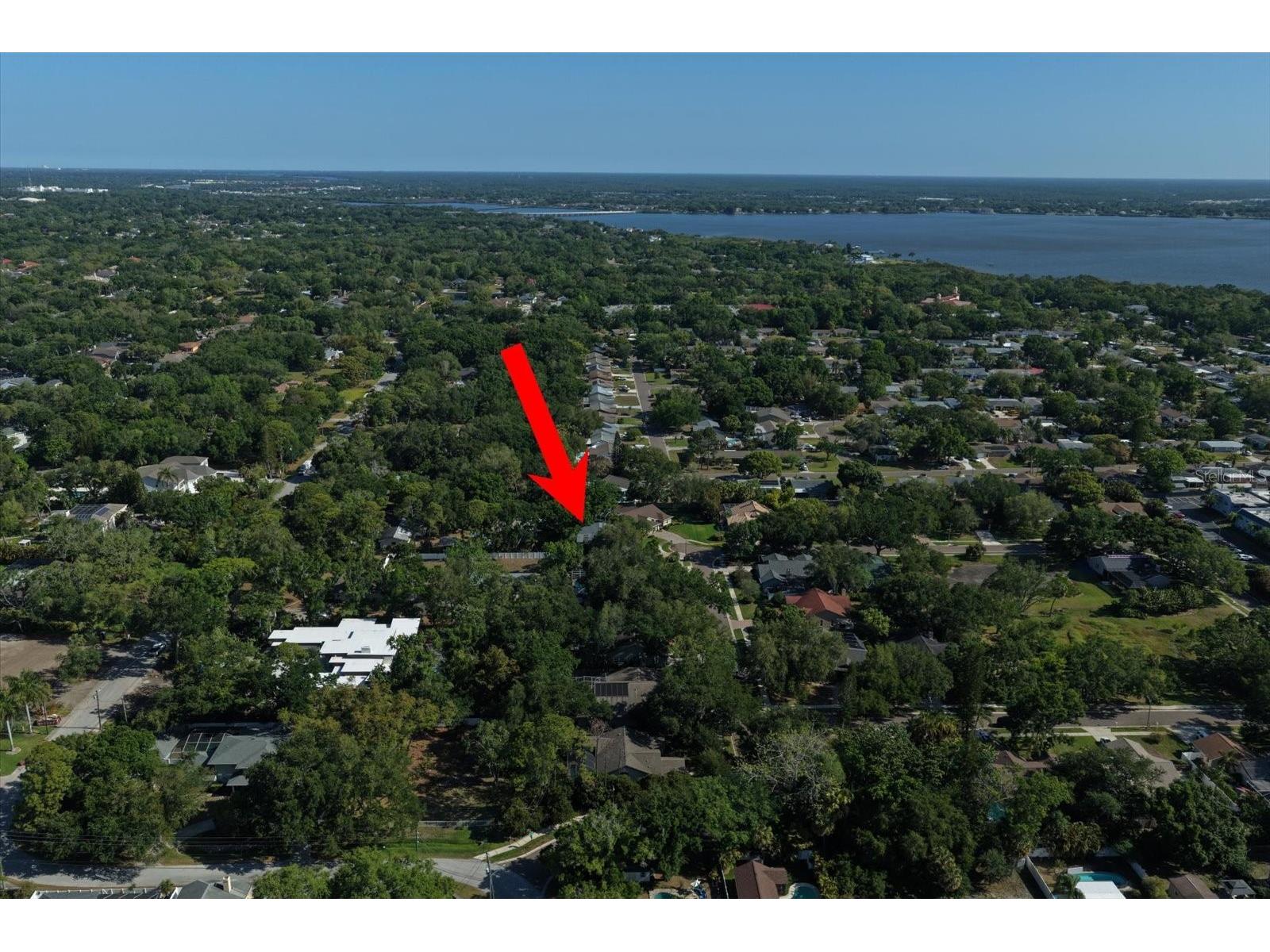 1211 Willowick Circle Safety Harbor FL 34695 TB8497903 image54