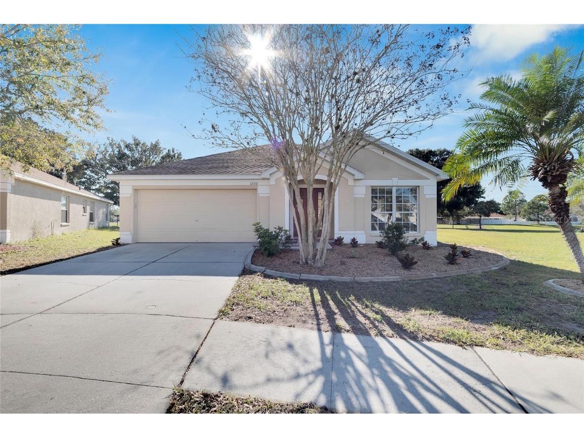 12110 Dawn Vista Drive Riverview FL 33578 T3504205 image1
