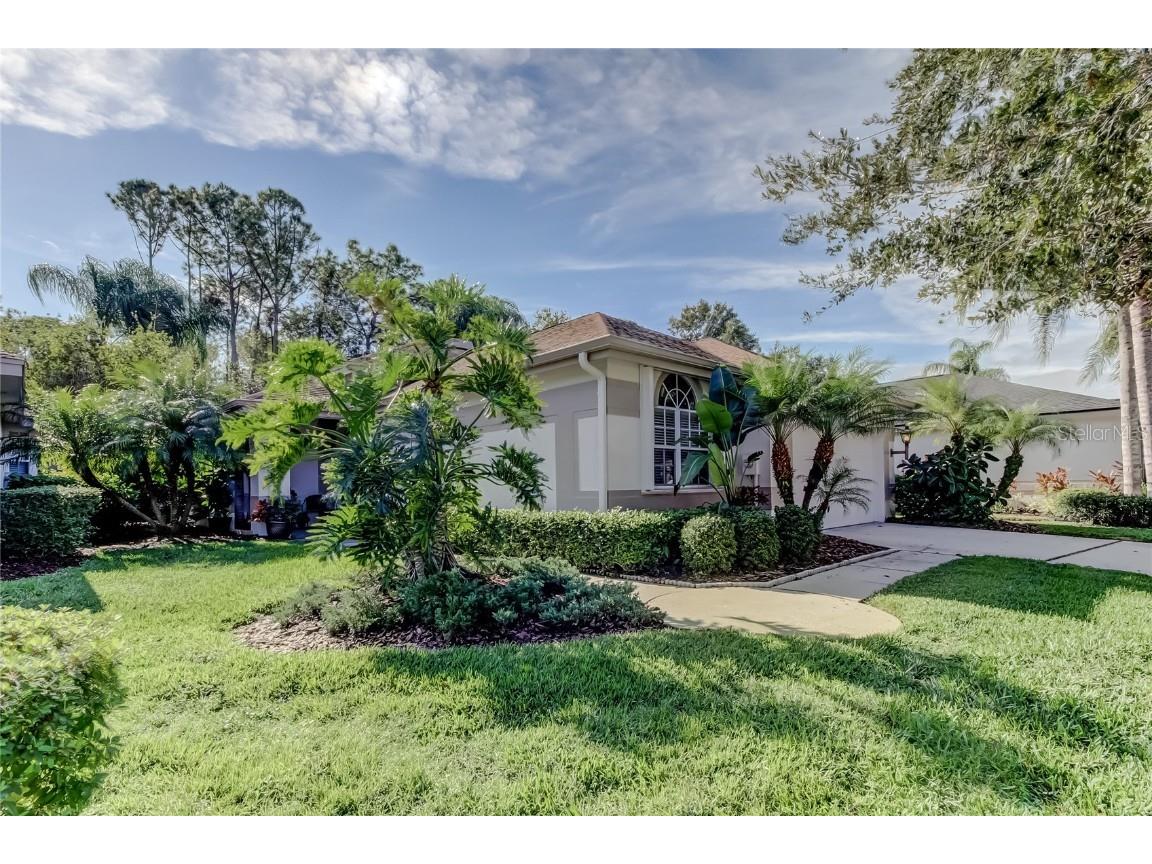 12110 Glencliff Circle Tampa FL 33626 TB8455102 image2