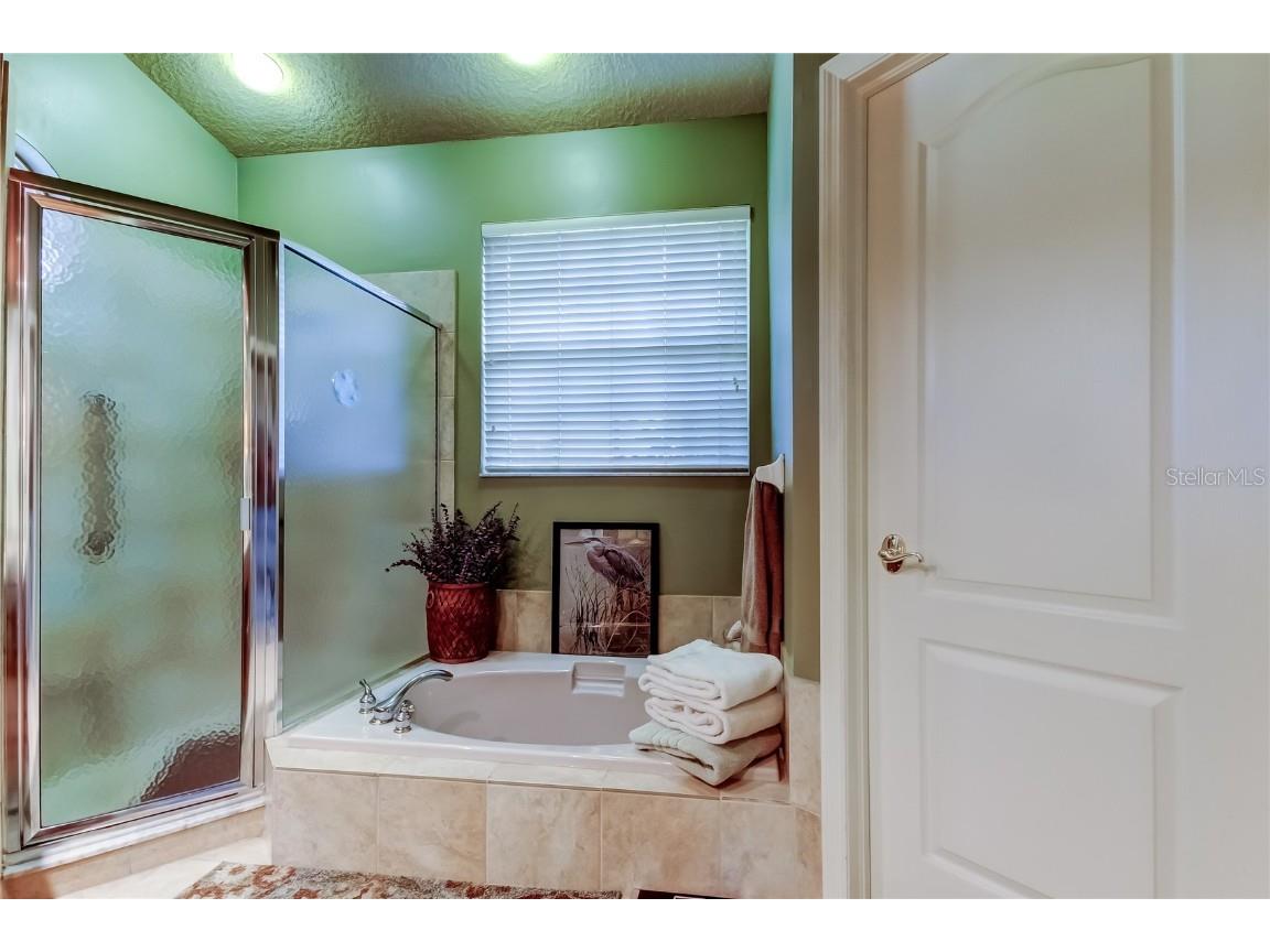 12110 Glencliff Circle Tampa FL 33626 TB8455102 image25