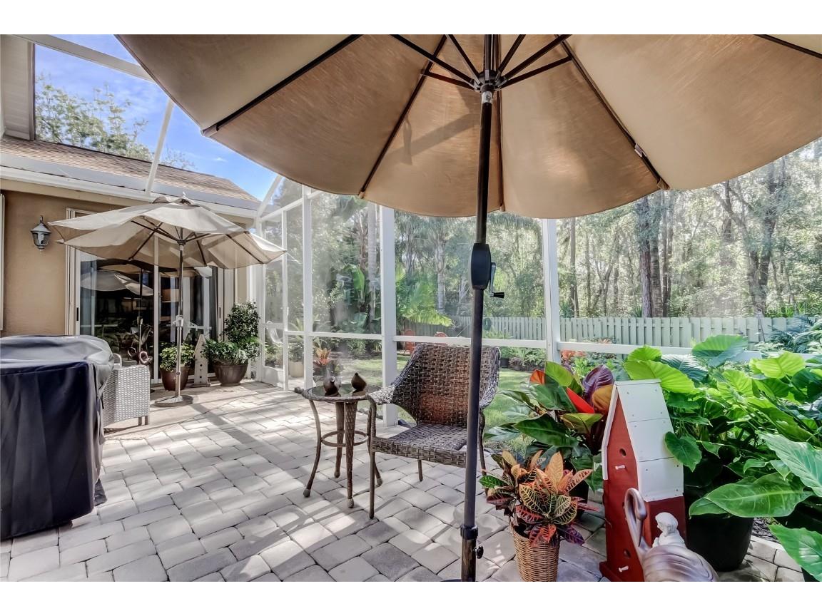 12110 Glencliff Circle Tampa FL 33626 TB8455102 image31