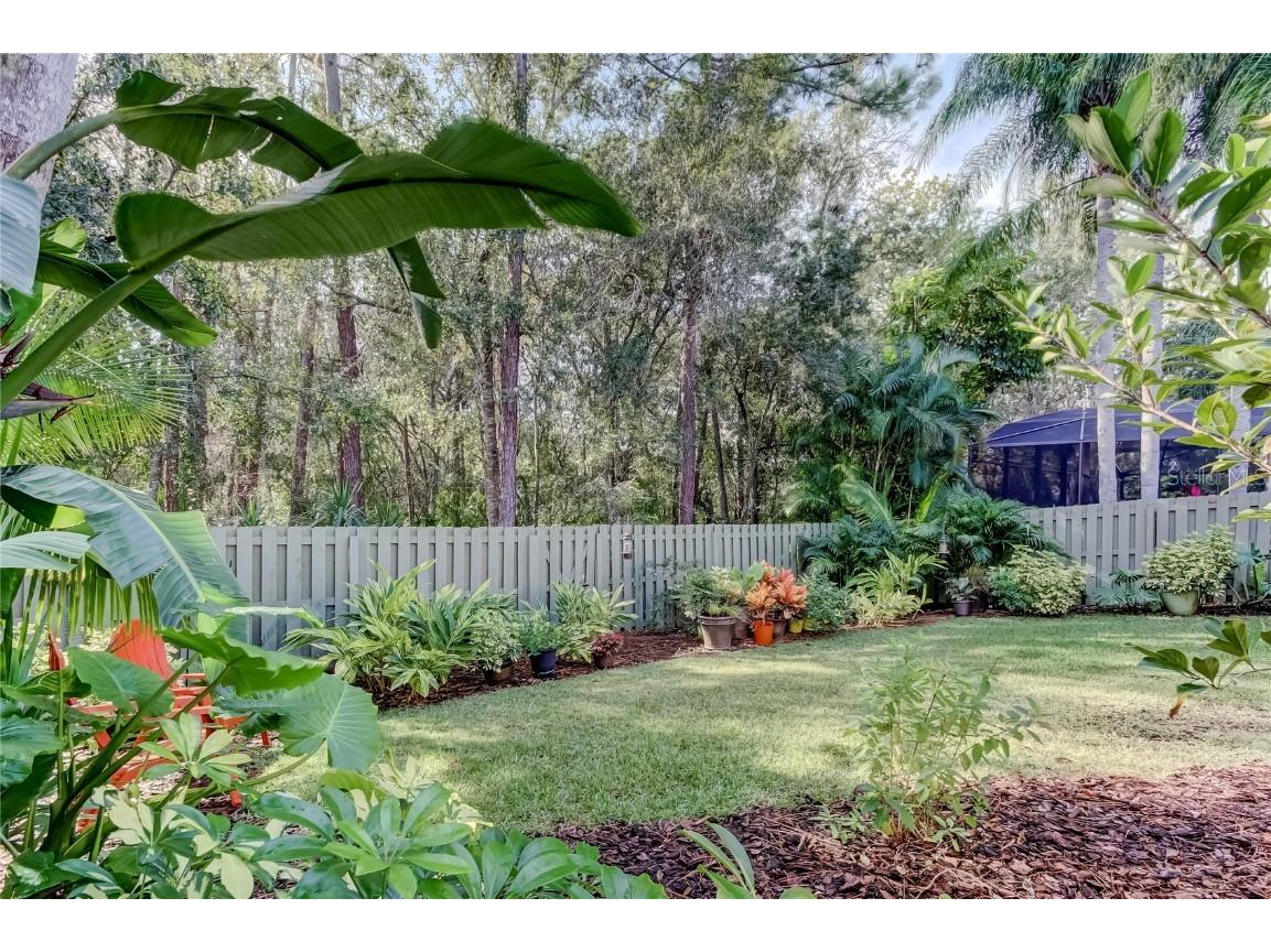 12110 Glencliff Circle Tampa FL 33626 TB8455102 image36