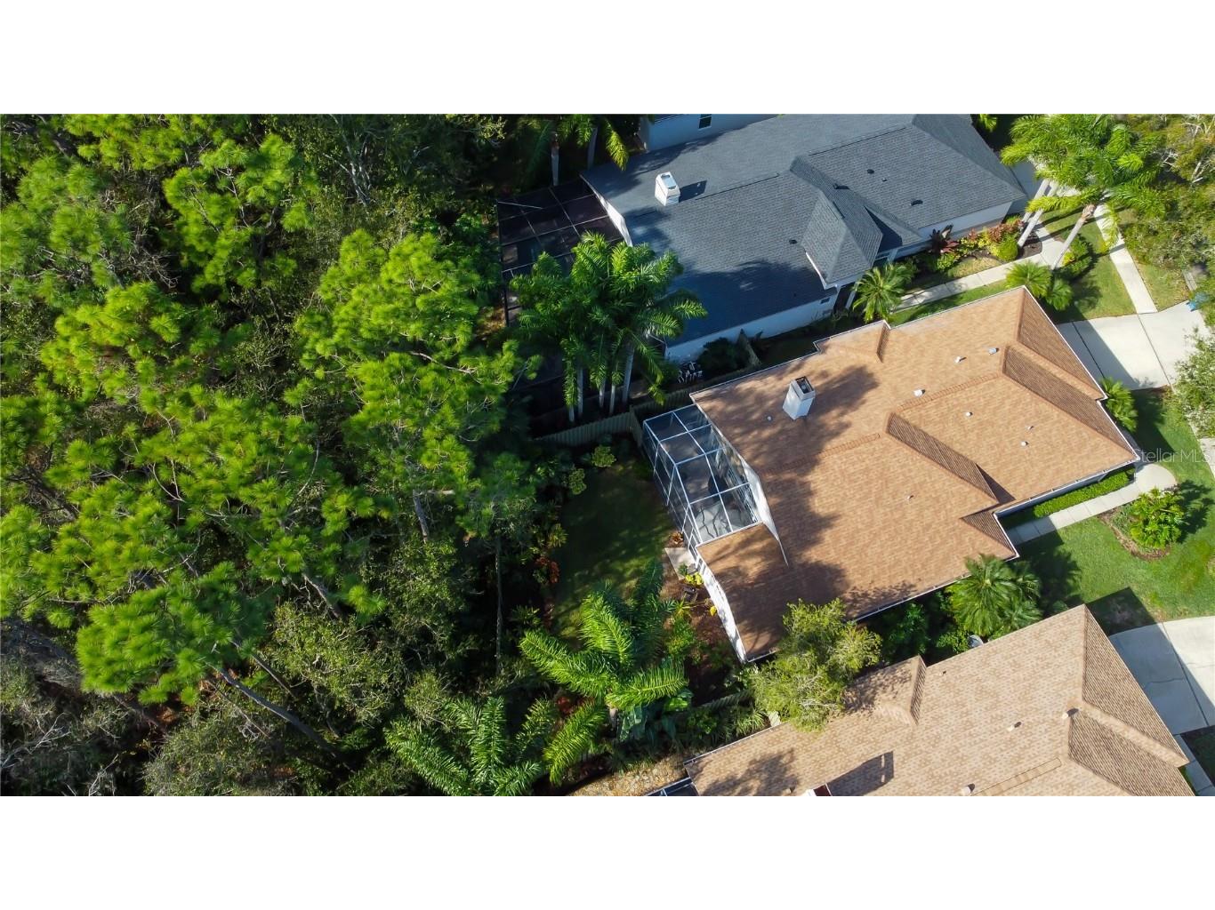 12110 Glencliff Circle Tampa FL 33626 TB8455102 image41