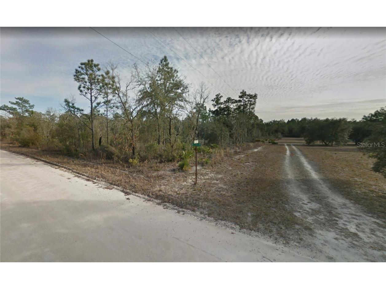 12110 NE 63rd Place Williston FL 32696 O6107950 image1
