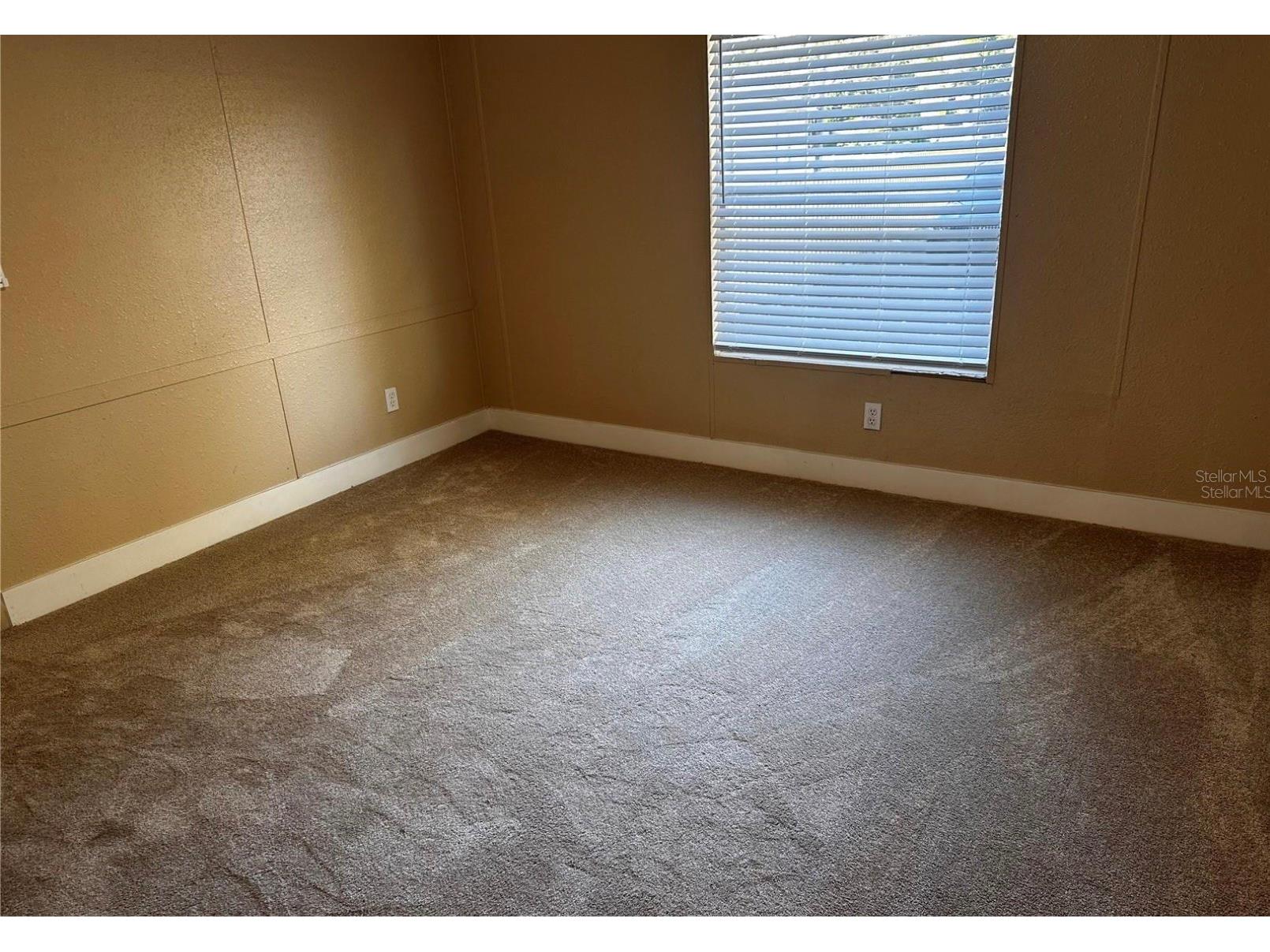 12111 Anderson Drive Riverview FL 33579 TB8509898 image10