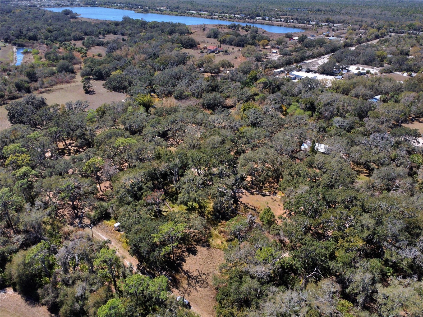 12111 Fred Drive Riverview FL 33578 A4682574 image10