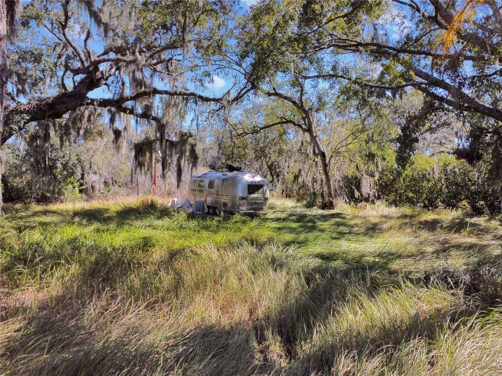 12111 Fred Drive Riverview FL 33578 A4682574 image14