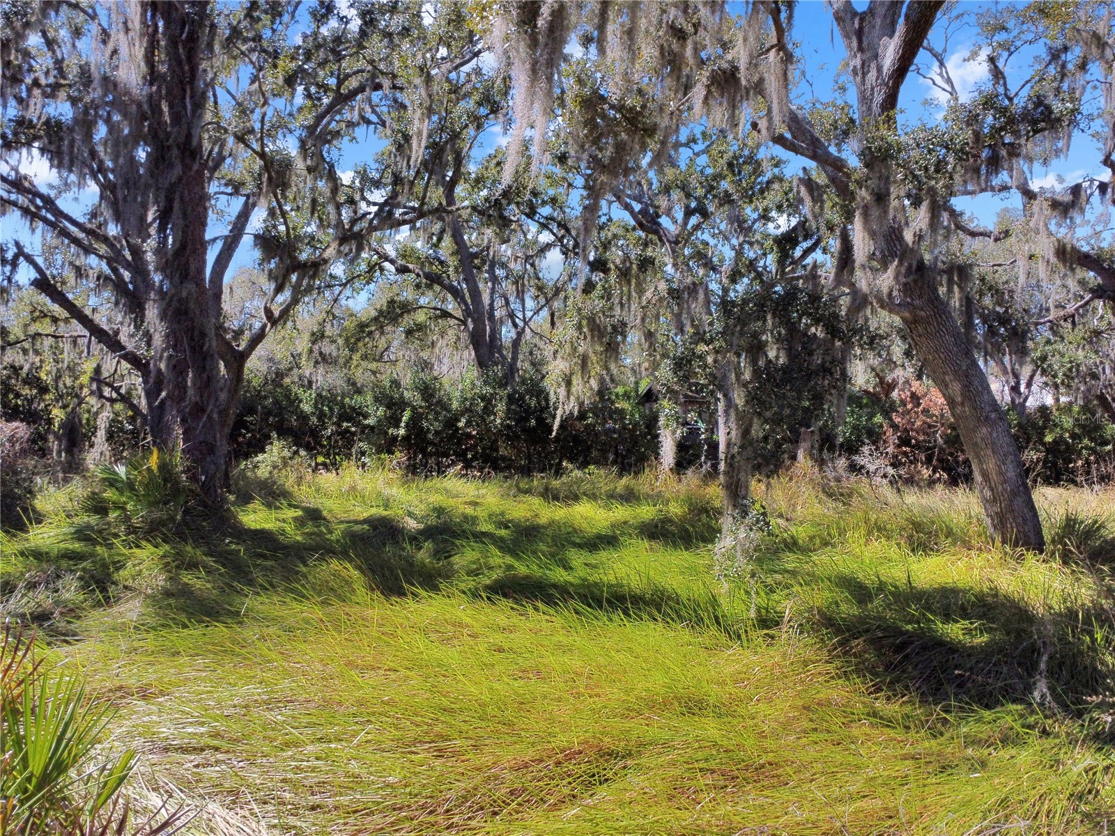 12111 Fred Drive Riverview FL 33578 A4682574 image15