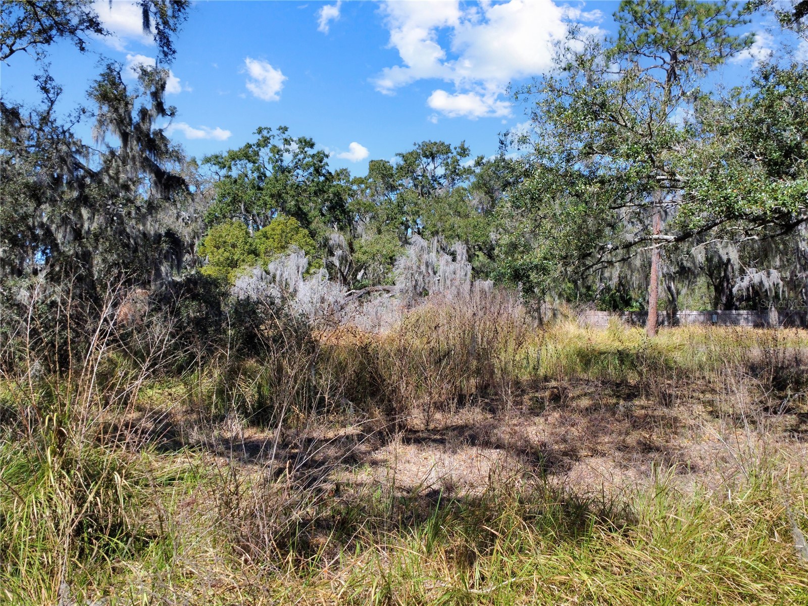 12111 Fred Drive Riverview FL 33578 A4682574 image16
