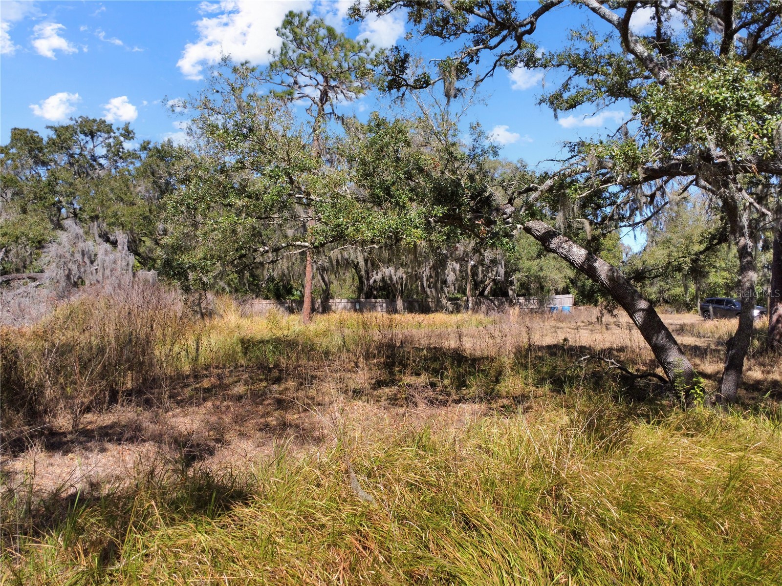 12111 Fred Drive Riverview FL 33578 A4682574 image17