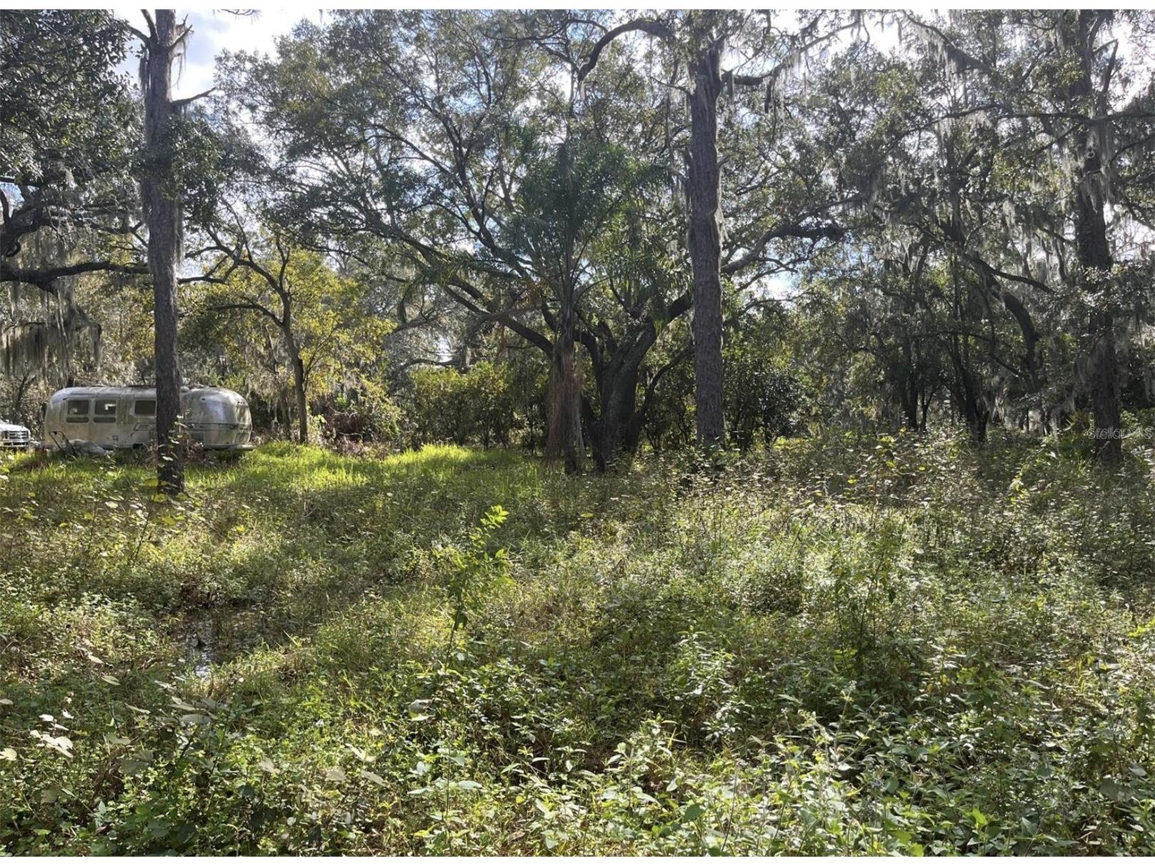 12111 Fred Drive Riverview FL 33578 A4682574 image24