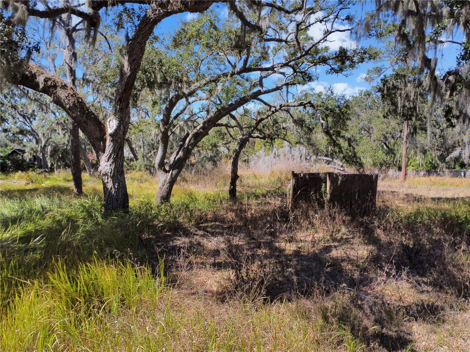 12111 Fred Drive Riverview FL 33578 A4682574 image5